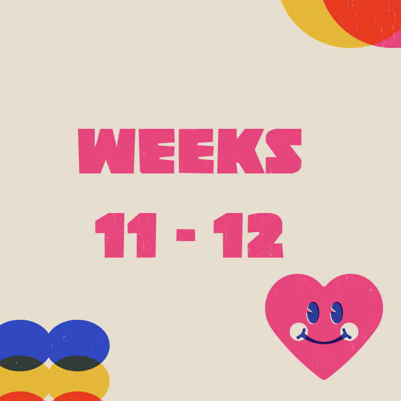 GDE750 - WEEKS 11-12