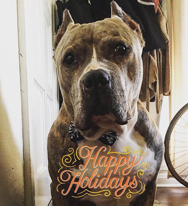 Brutus here, reminding you to head over to thegrapeandthegrain.bandcamp.com/music (link in bio) to download any digital release for &ldquo;name your price&rdquo;, and to have a very happy holiday!