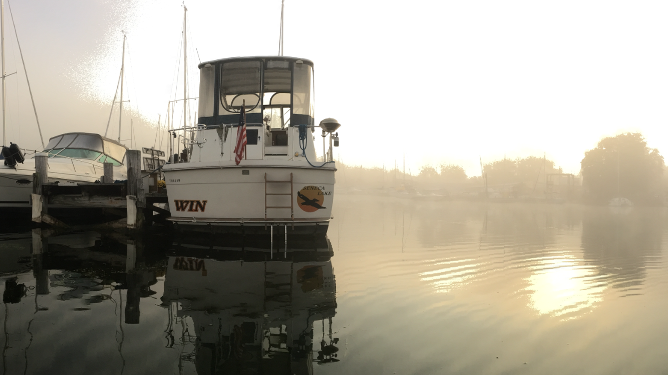 Foggy Morning...