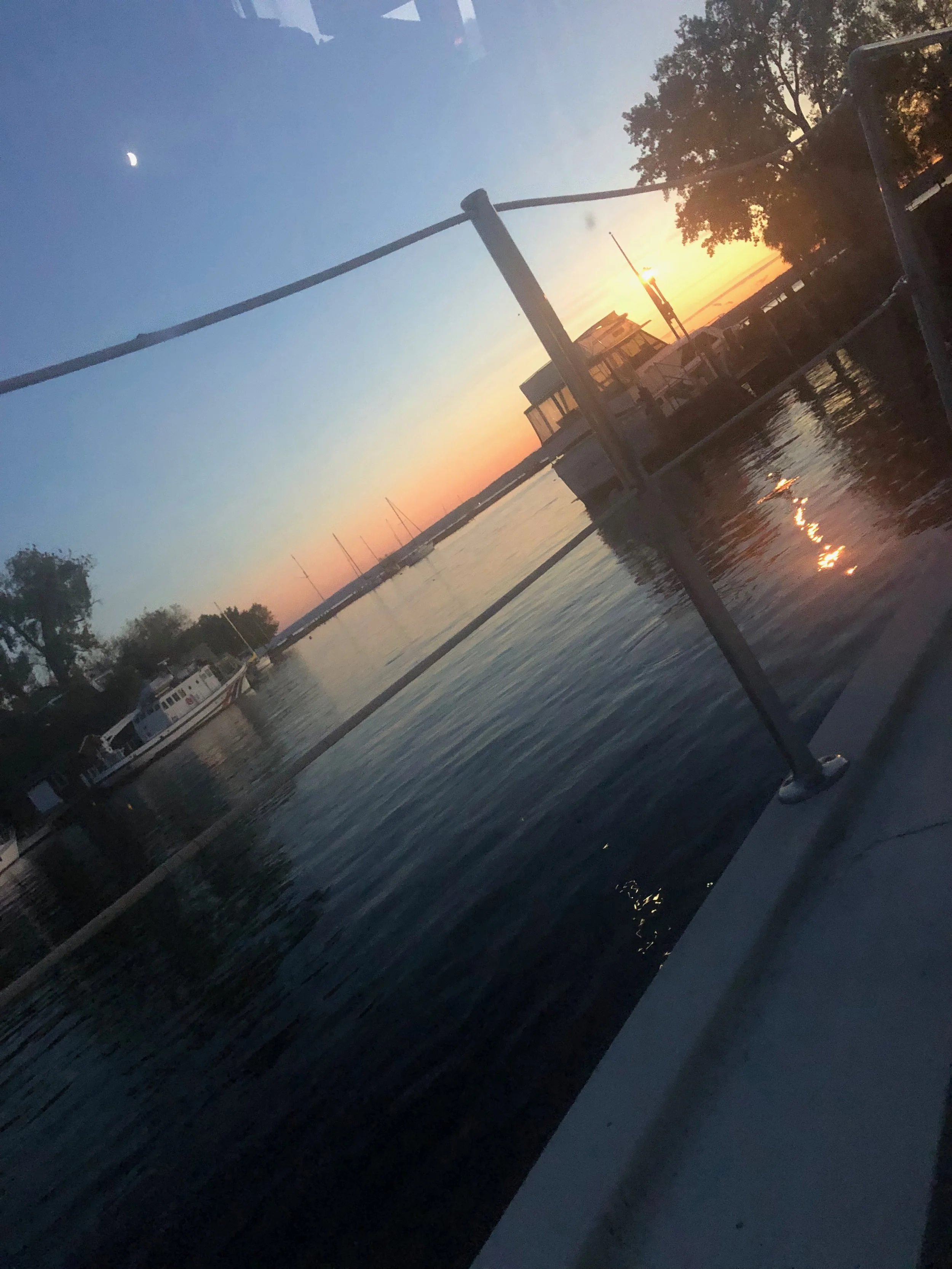 IMG_7215.jpeg