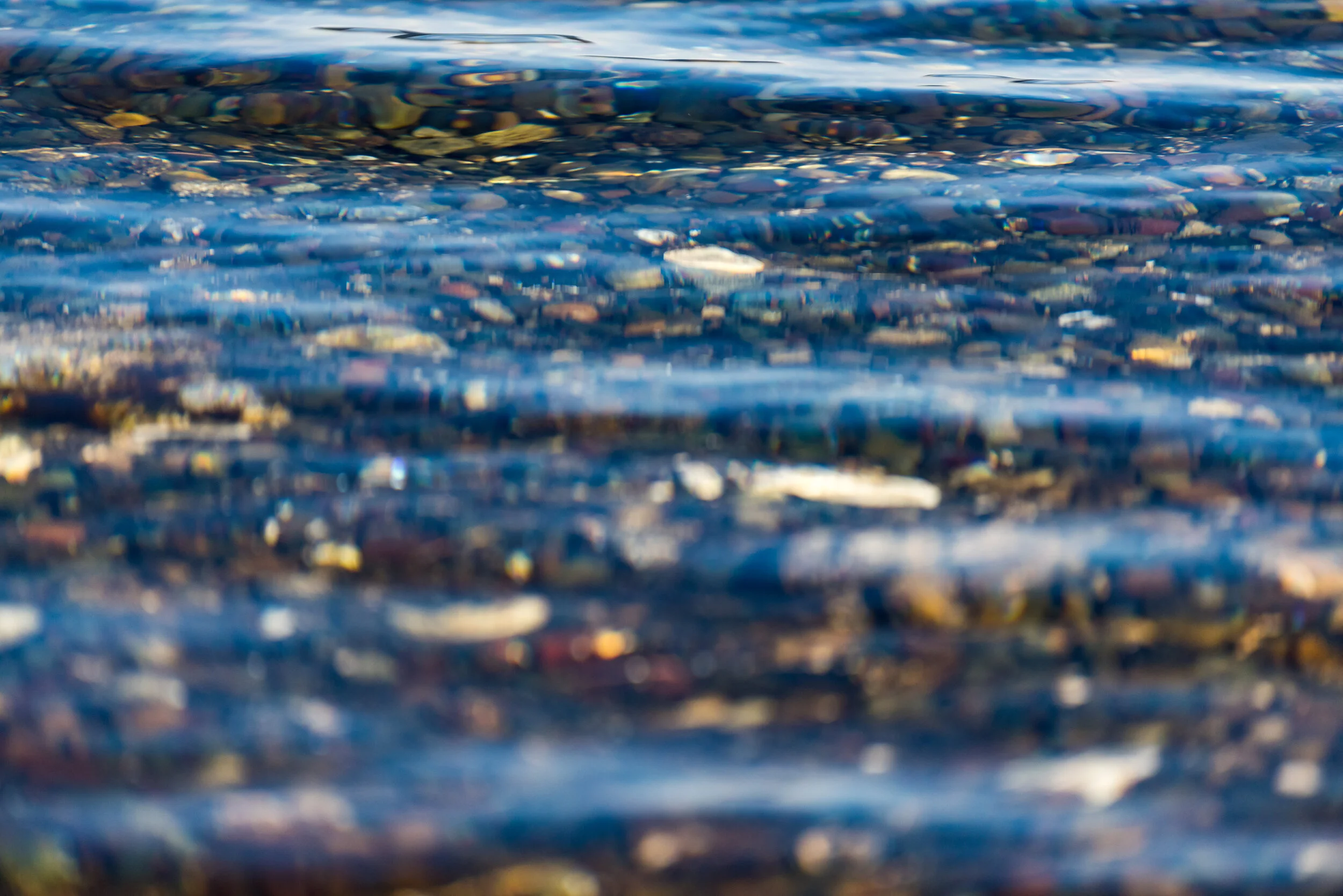 DSC_7677.jpg
