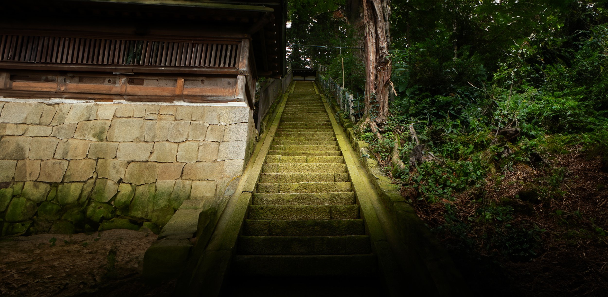 Temple stairs.jpg
