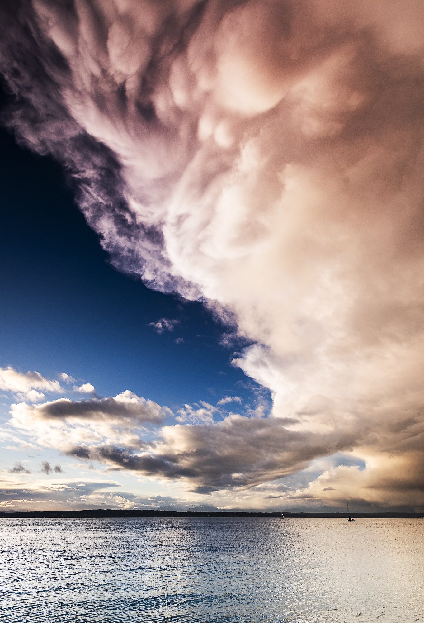 storm clouds portrait.jpg
