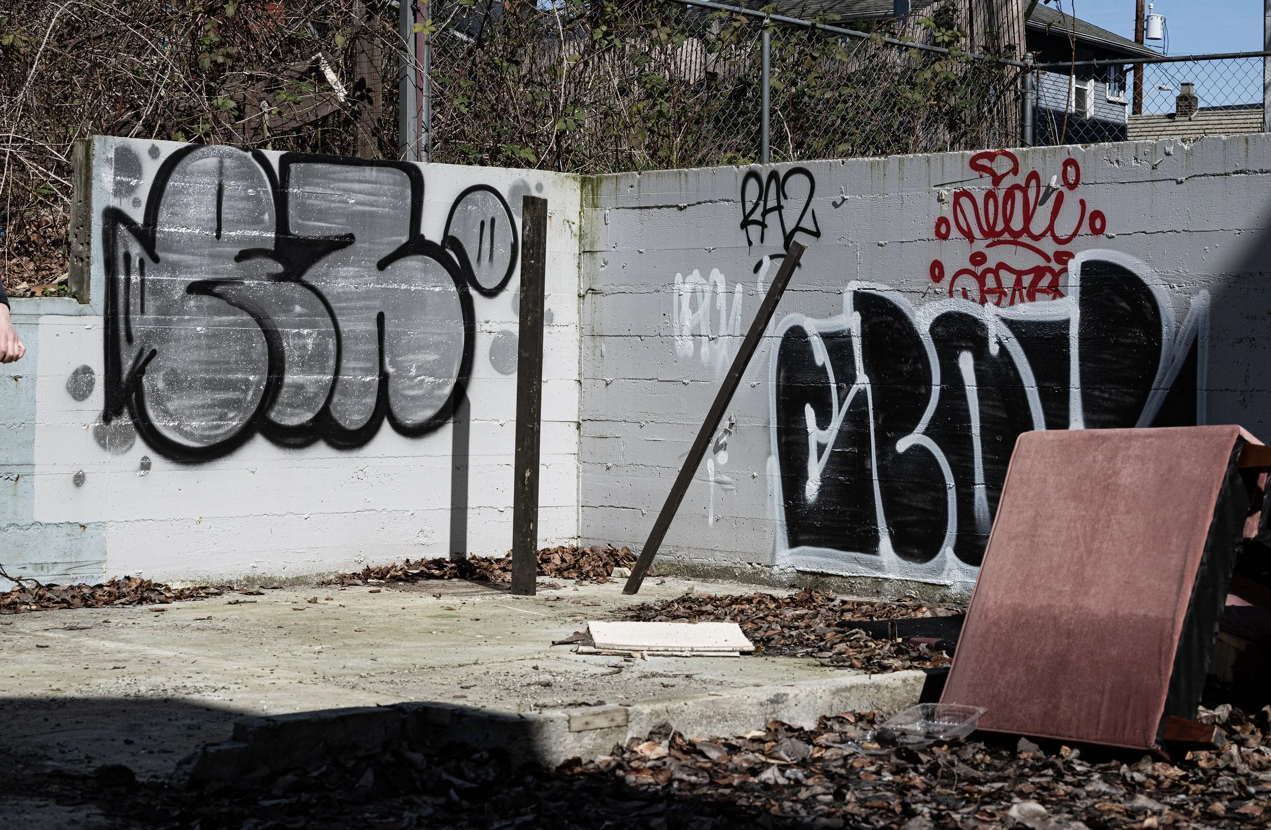 DSC_8362 copy.jpg