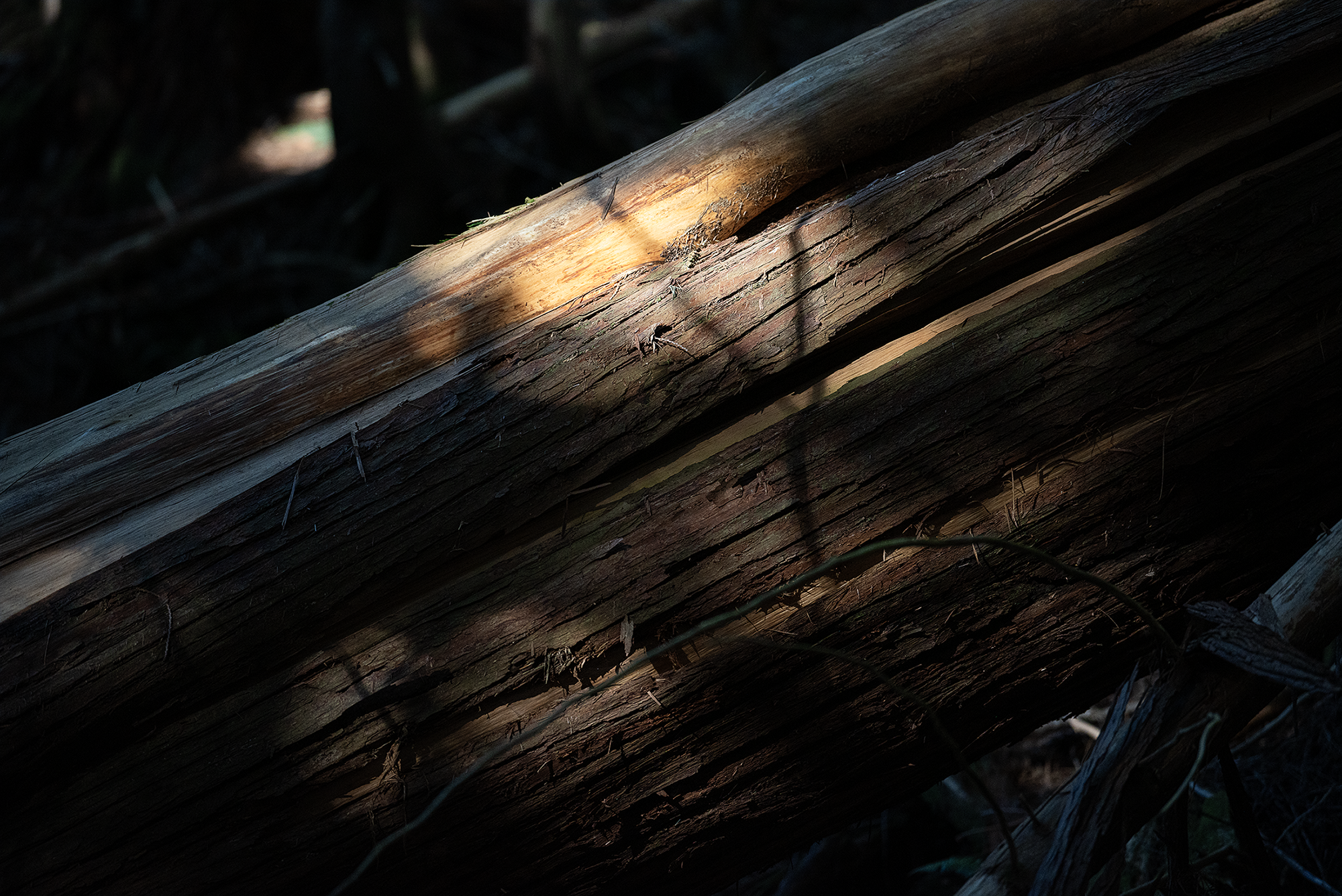 Wood is Good.png