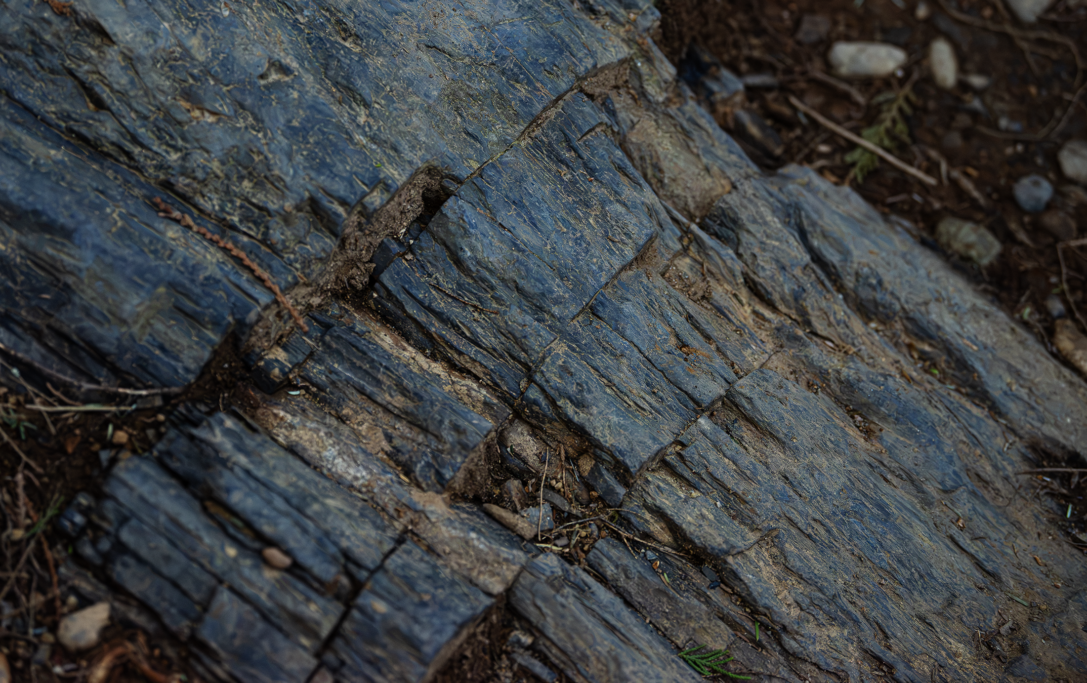 Blue Rock copy.png