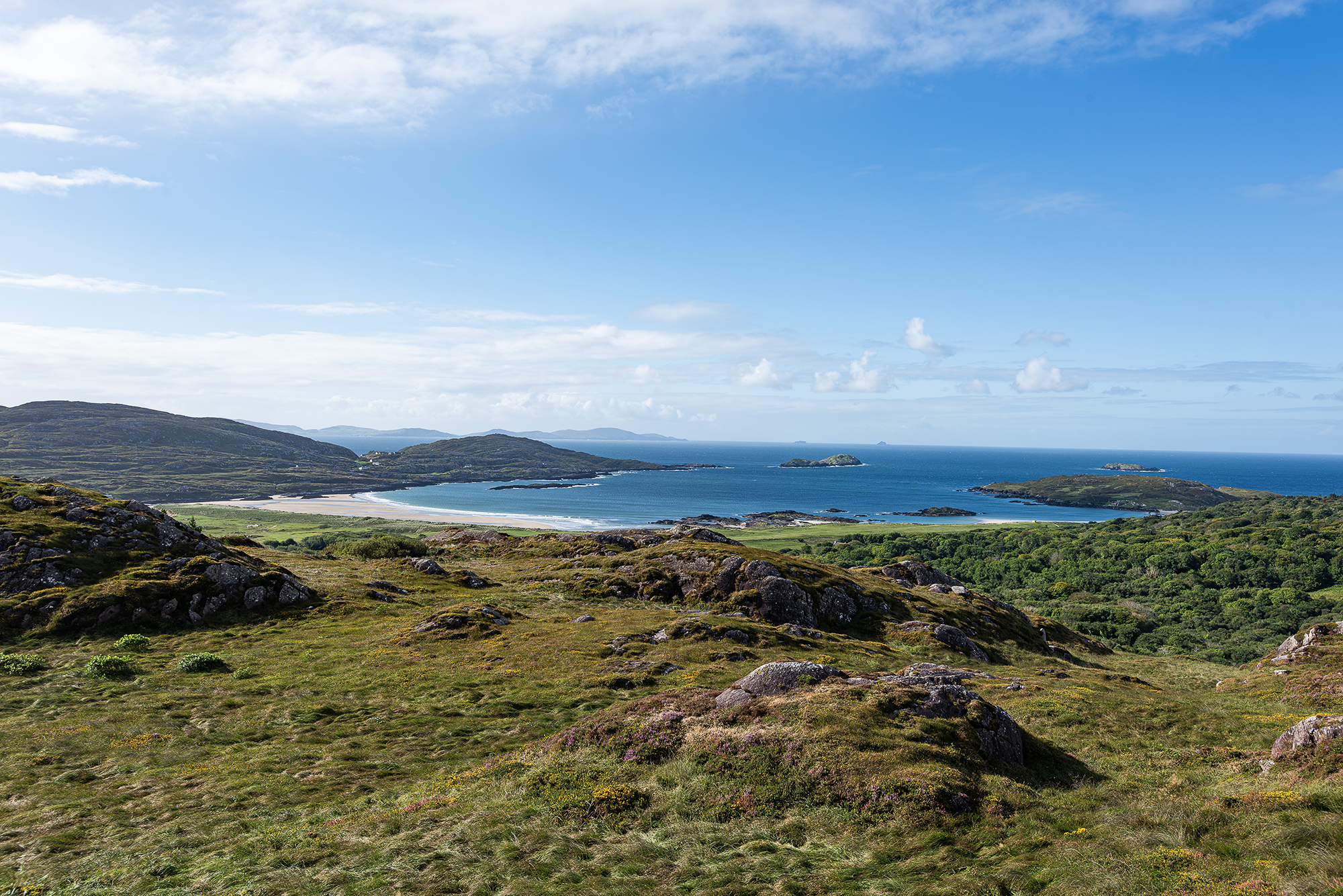 Irish Coast.png