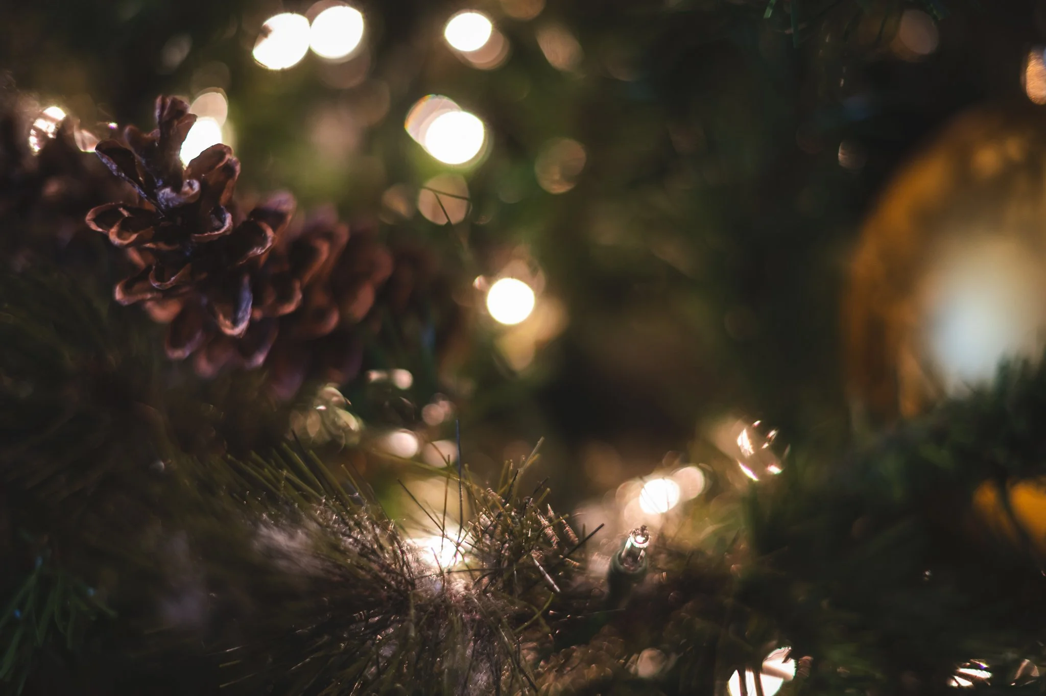 Origins Christmas-2.jpg