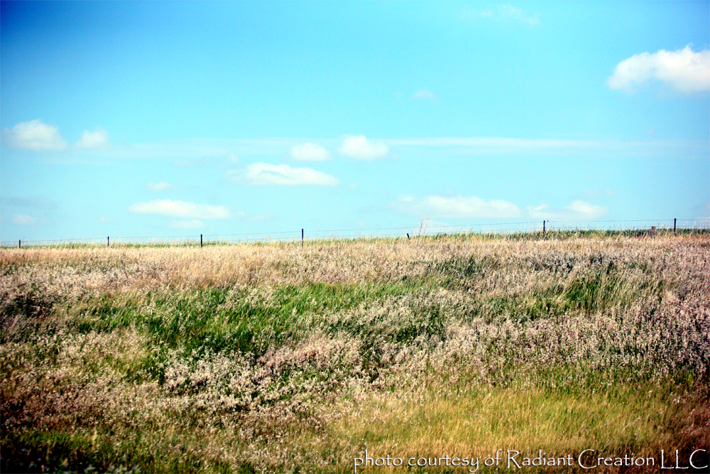 NorthDakotaPrairie.jpg