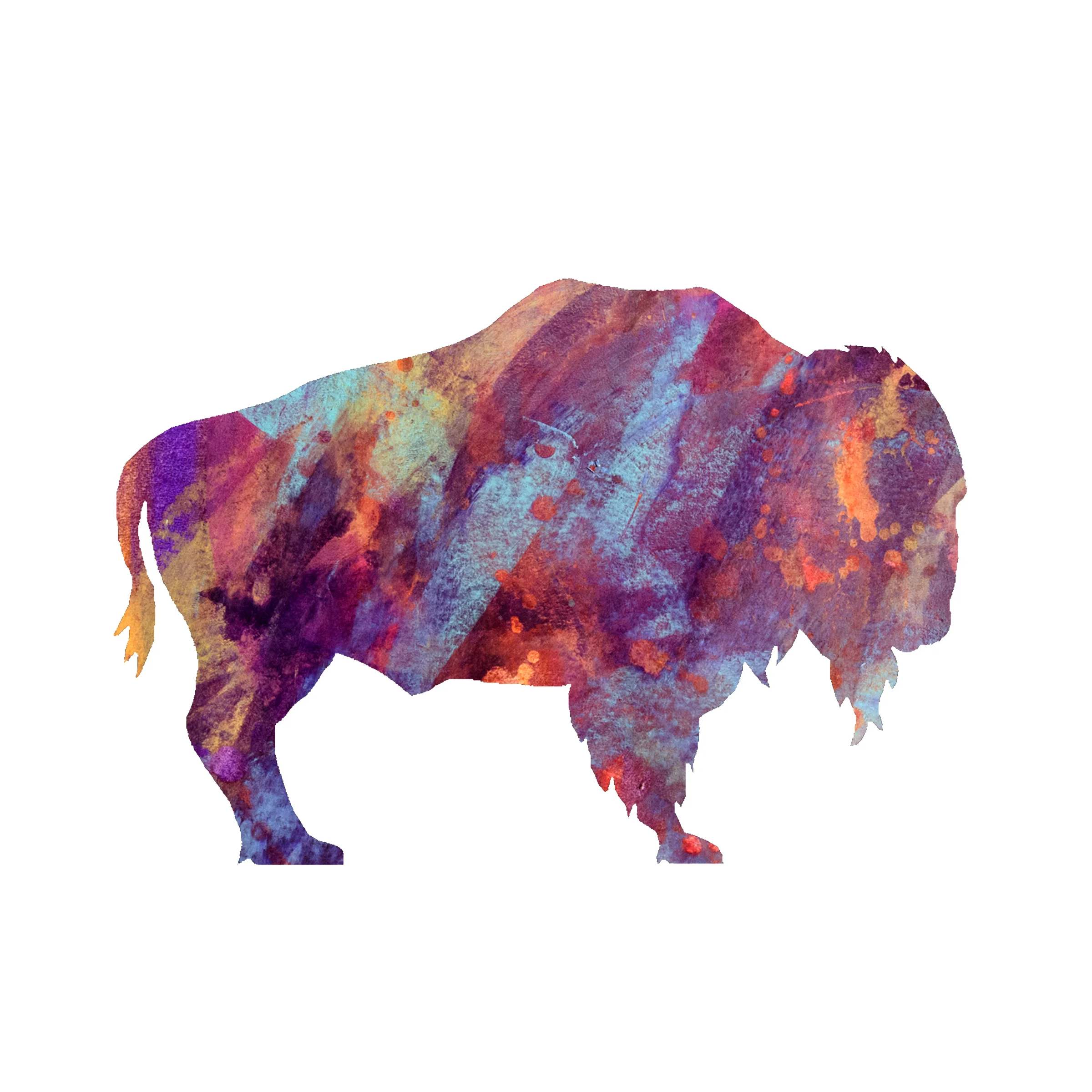 AdamBison.jpg