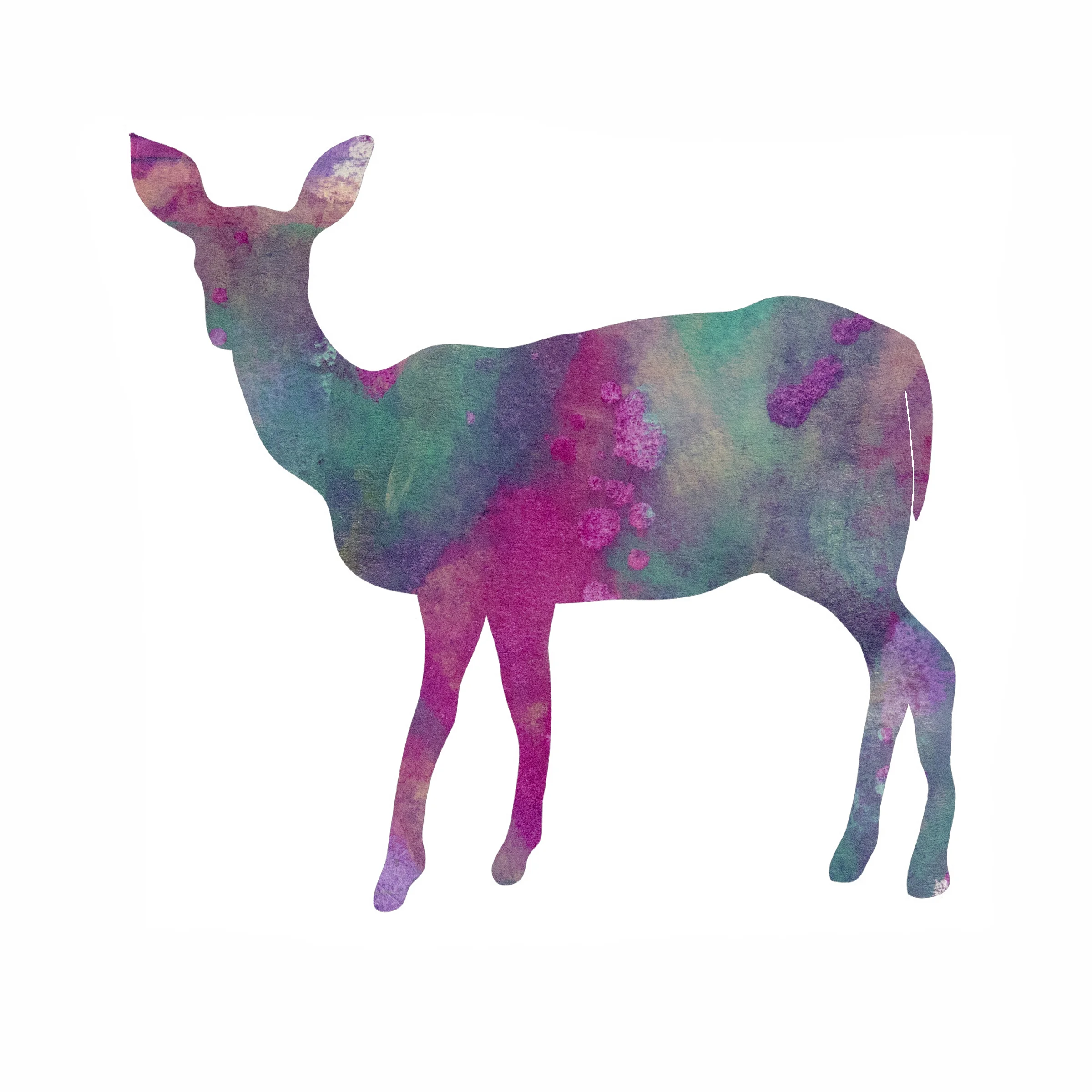 deeR.jpg