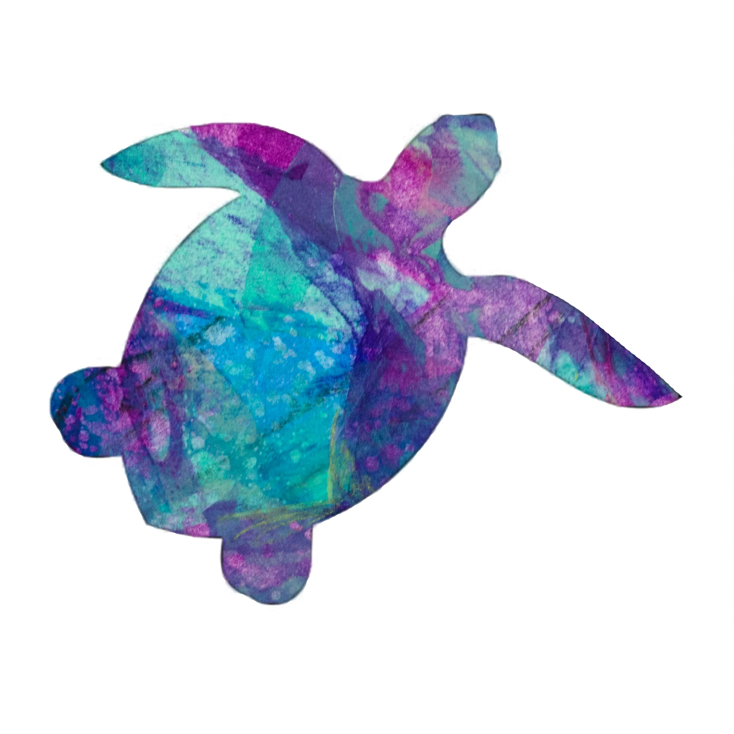 seaturtle.jpg