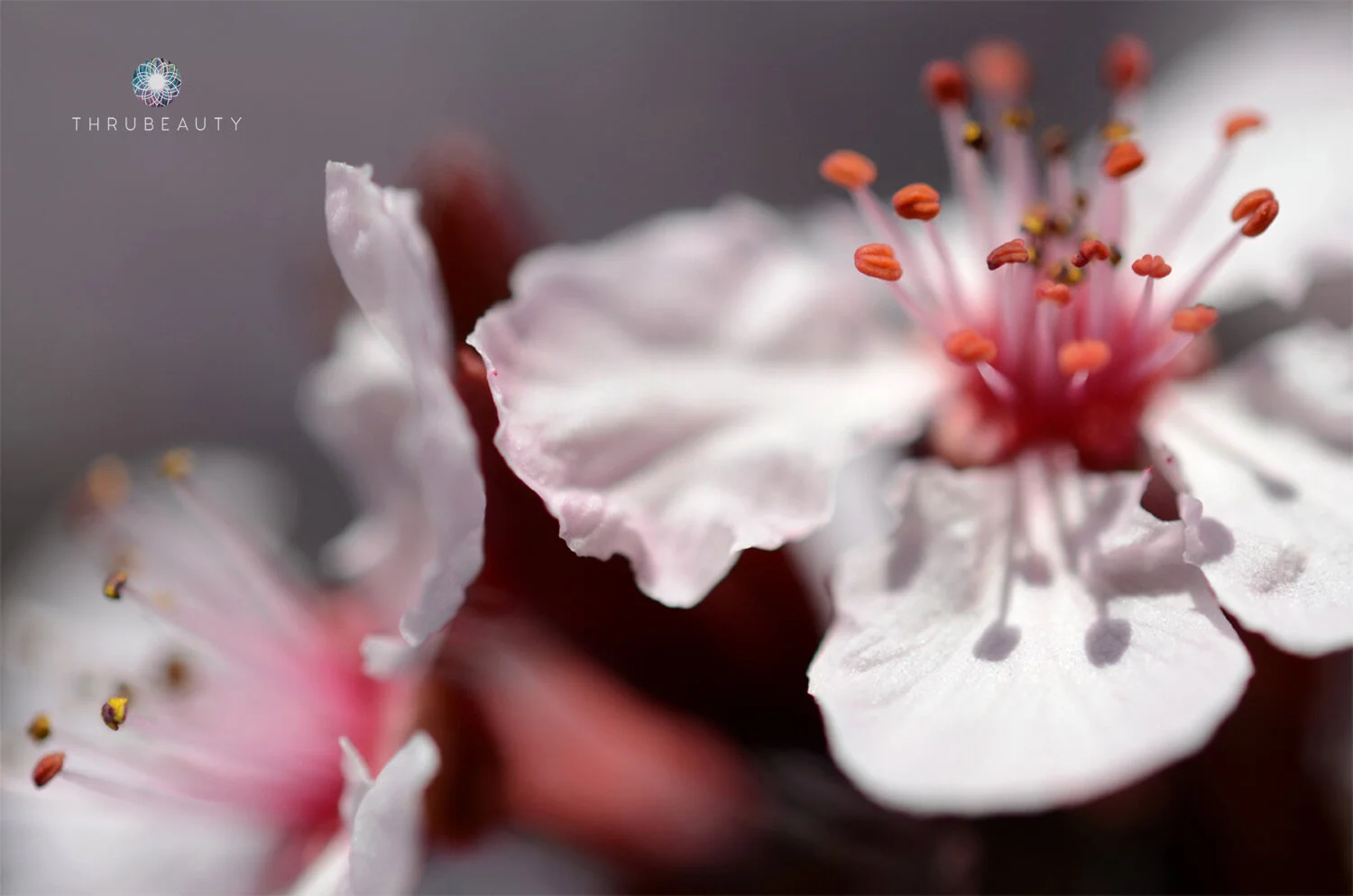 Perhaps We Will Learn