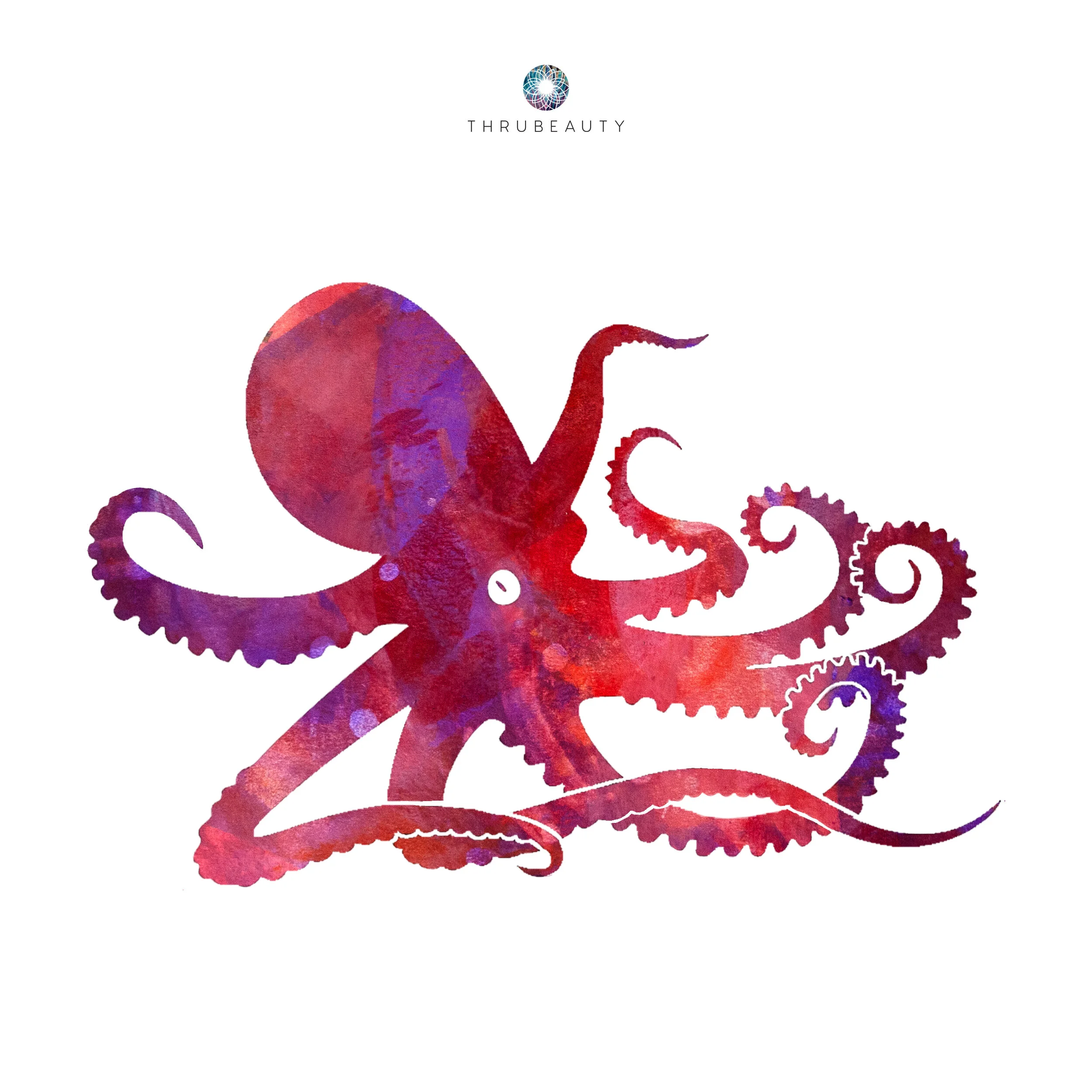 octopus.jpg