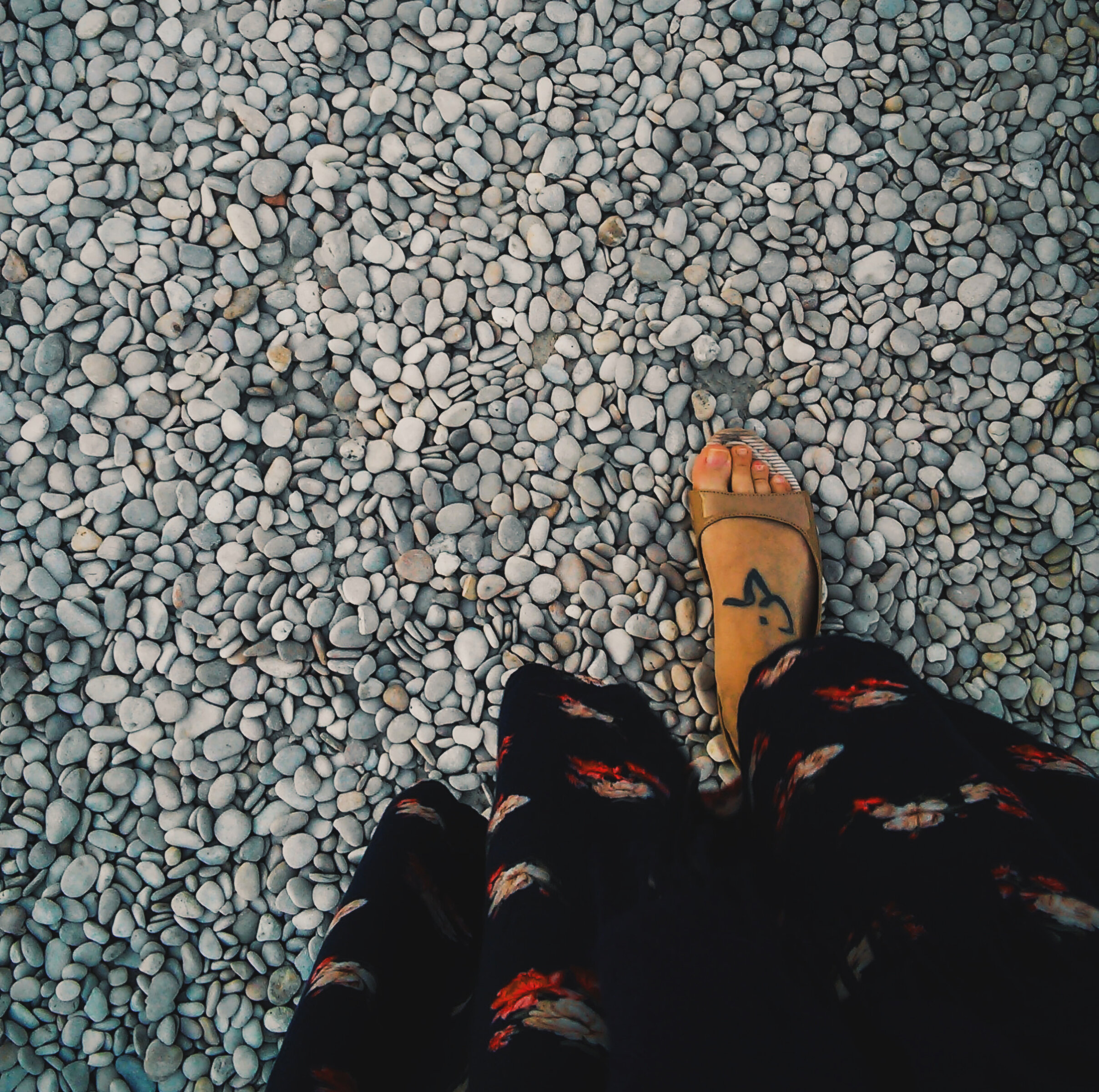 to walk.jpg