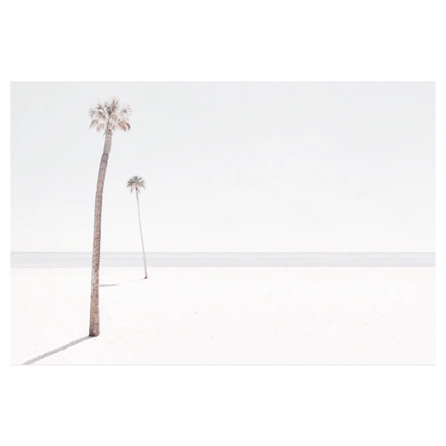 Well I&rsquo;ve Been Waiting, Waiting Here So Long &bull; Genesis ⠀⠀⠀⠀⠀⠀⠀
⠀⠀⠀⠀⠀⠀⠀⠀⠀
⠀⠀⠀⠀⠀⠀⠀⠀⠀
⠀⠀⠀⠀⠀⠀⠀⠀⠀
⠀⠀⠀⠀⠀⠀⠀⠀⠀
⠀⠀⠀⠀⠀⠀⠀⠀⠀
⠀⠀⠀ ⠀⠀⠀⠀⠀⠀⠀⠀⠀
⠀⠀⠀⠀⠀⠀⠀⠀⠀
⠀⠀⠀⠀⠀⠀⠀⠀⠀
⠀⠀⠀⠀⠀⠀⠀⠀⠀ ⠀⠀⠀⠀⠀
#summerlovin #ocean #sea #surf #palms #golden #goldenhour #pastel #palmtrees