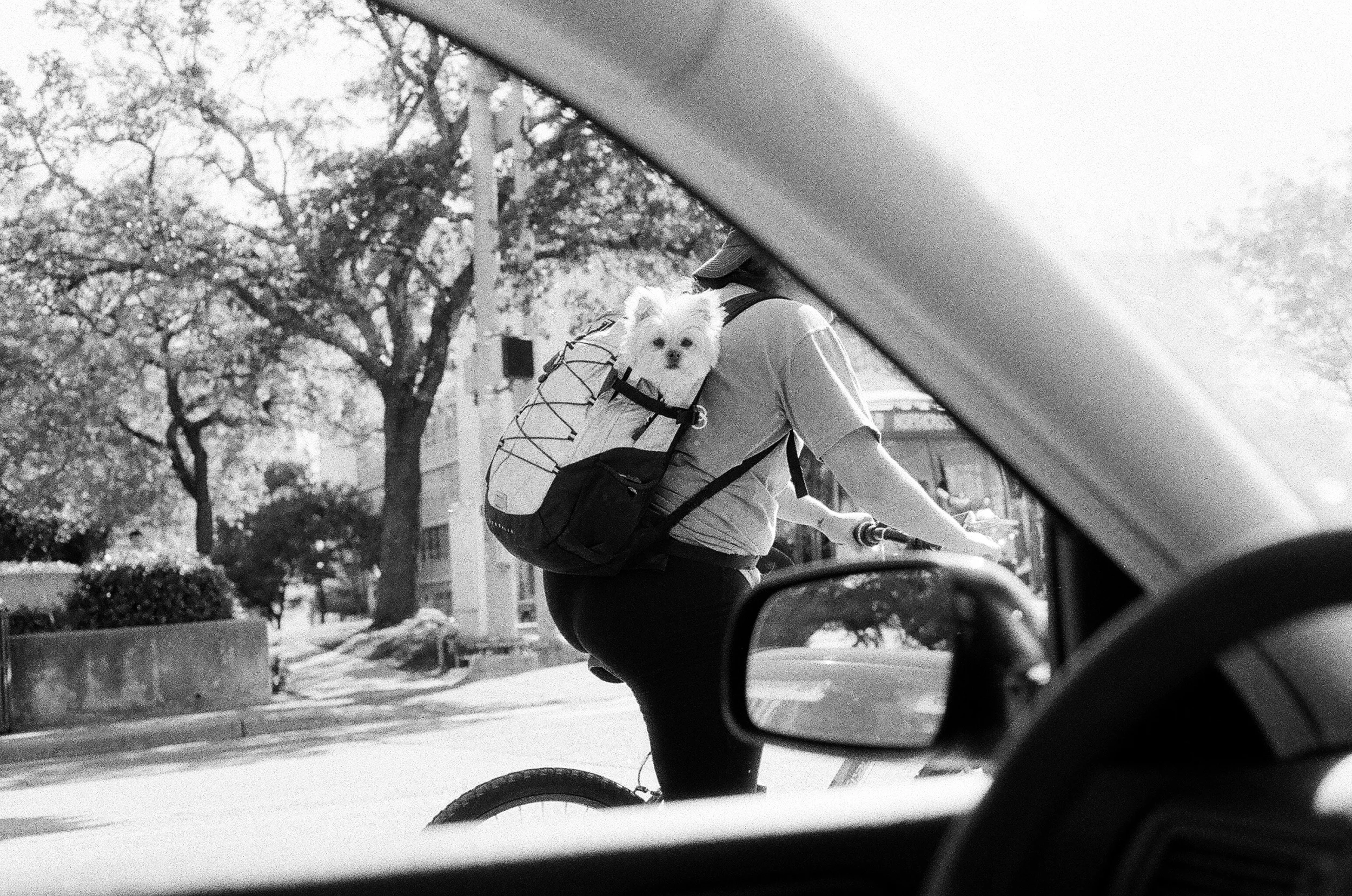 Austin, TX
