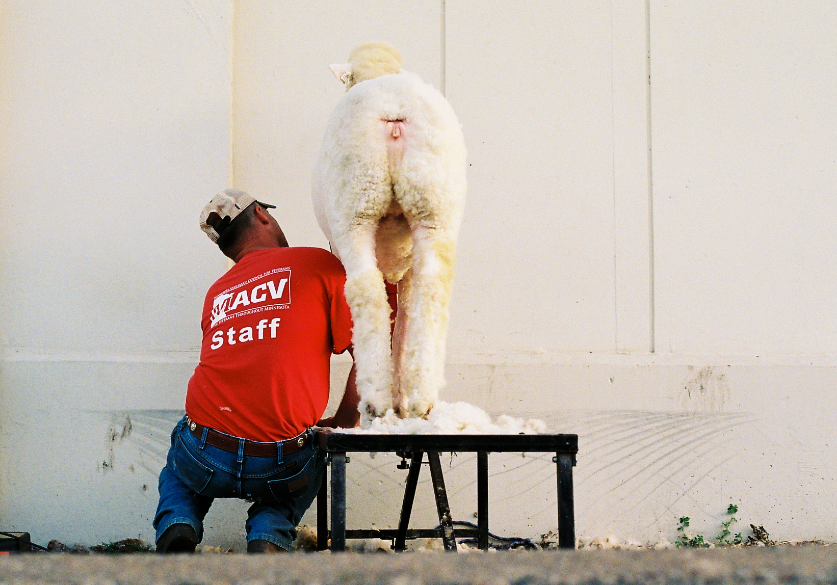 Minnesota State Fair