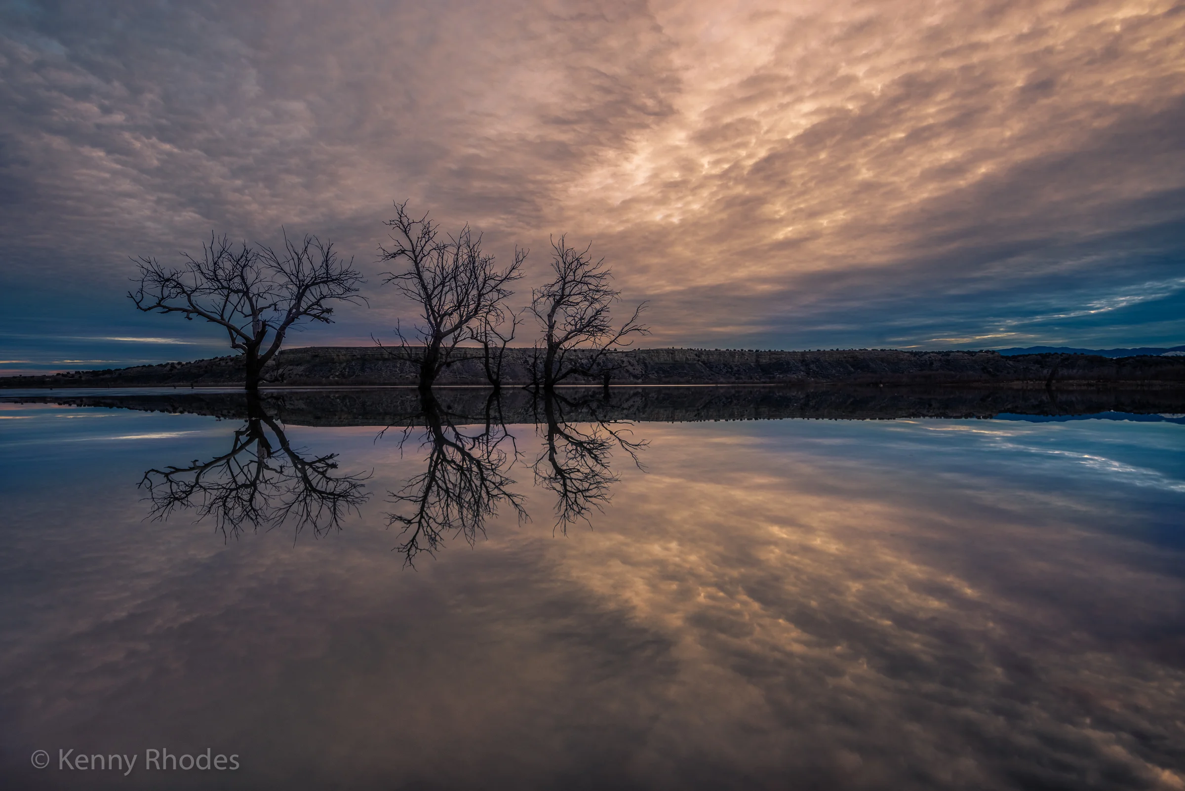Lake Trees Reflects.jpg