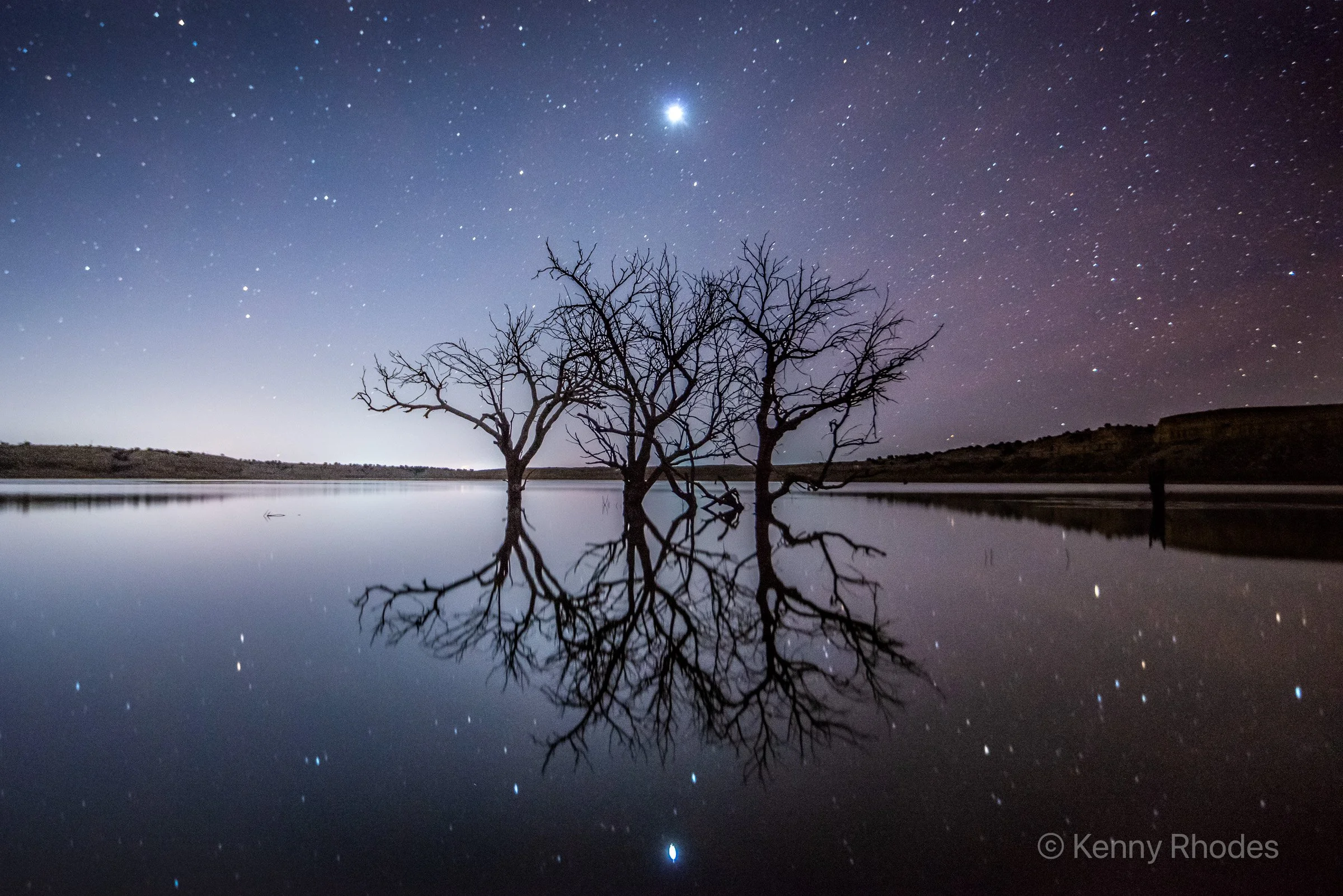 Swallows Trees and Venus.jpg