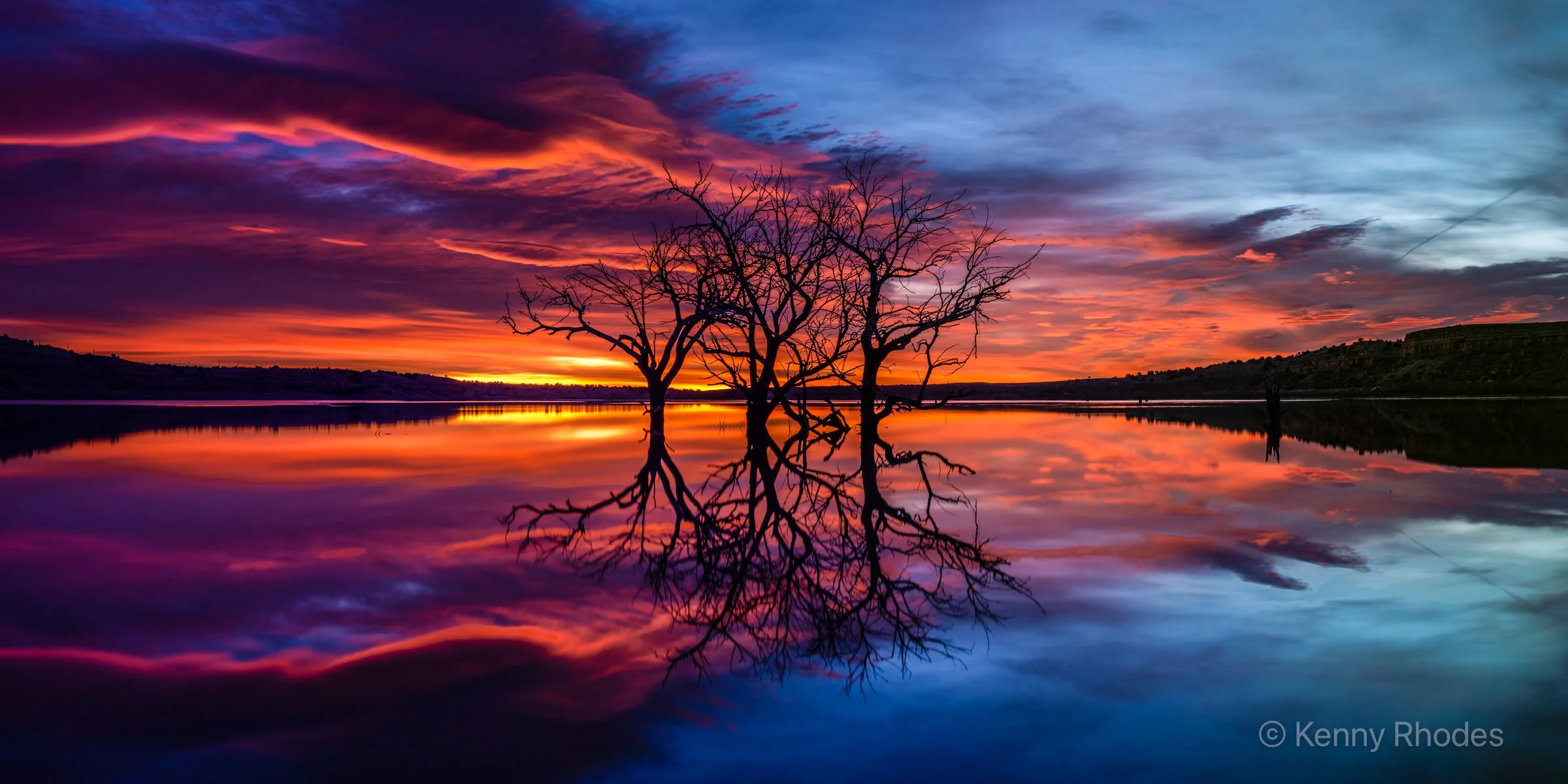 Swallows Trees Predawn Reflecting 4.jpg