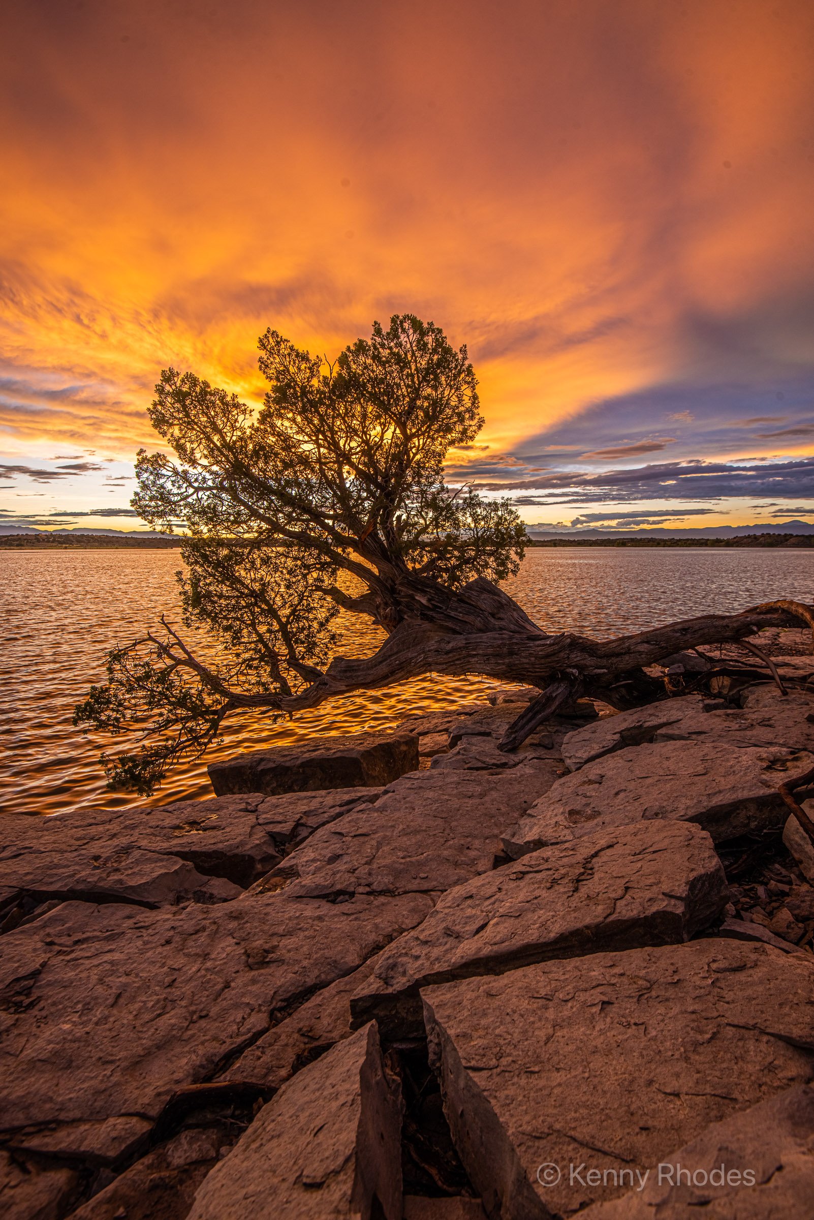 West Fishing Juniper Sunset Colors 2
