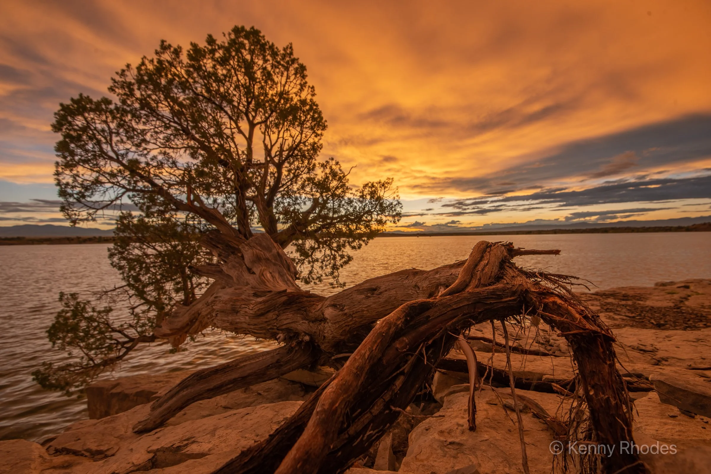 West Fishing Juniper Rootview