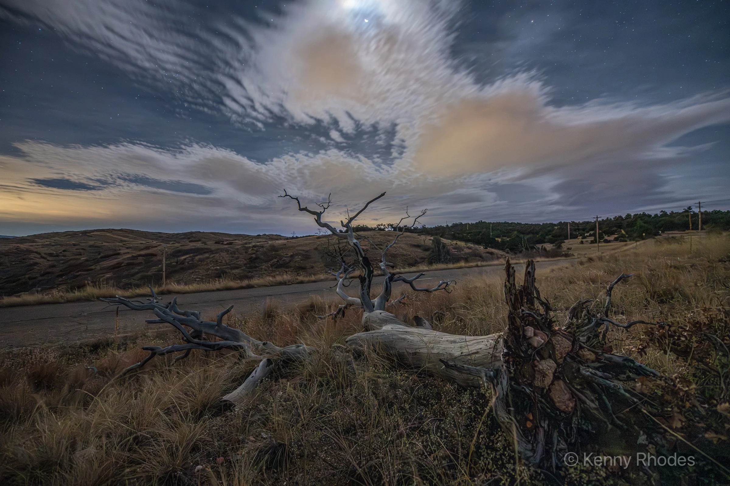 Royal Gorge Burnt Pine Fallen