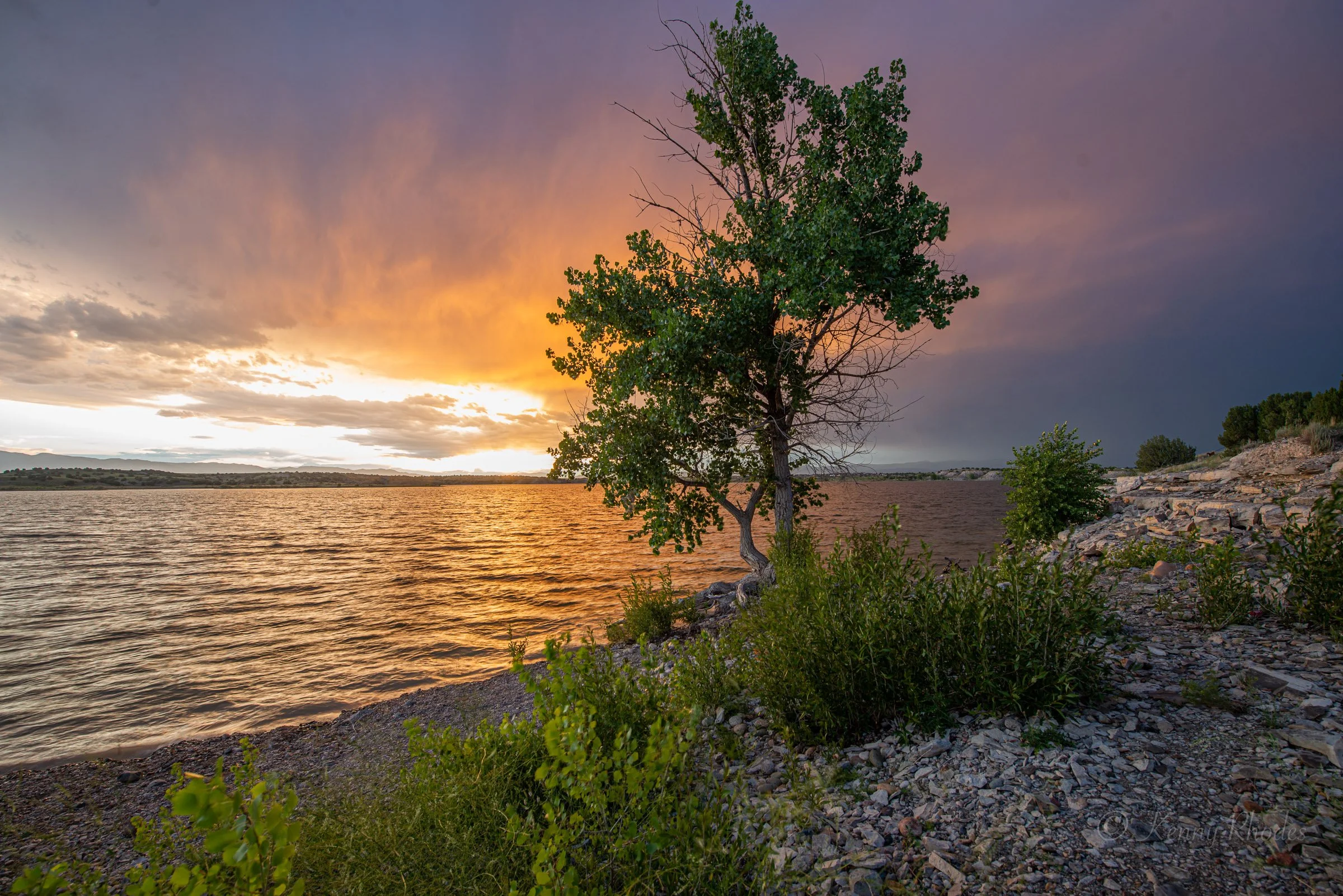 WF Cottonwood Sunset 3.jpg