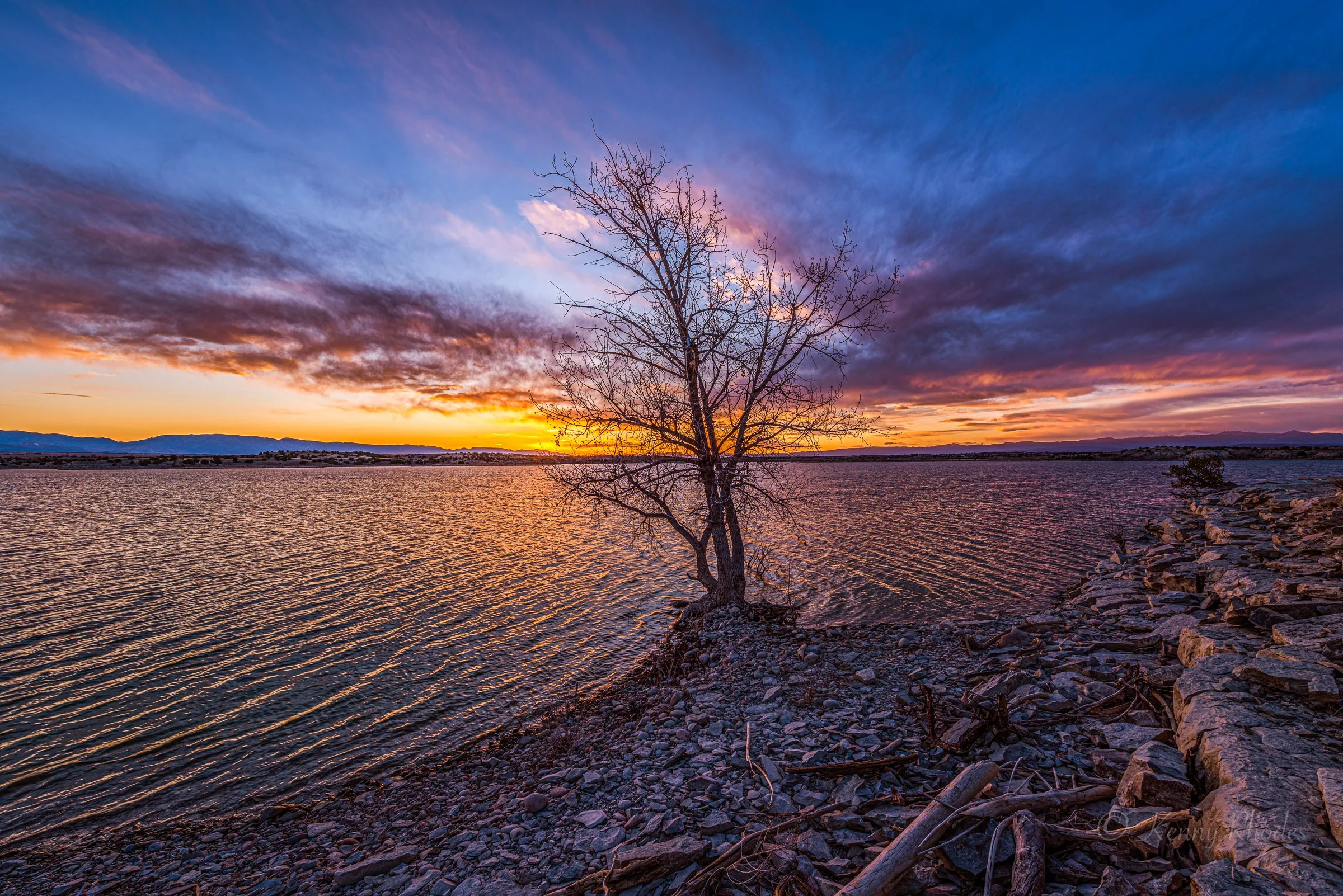WF Cottonwood Waterline Sunset.jpg