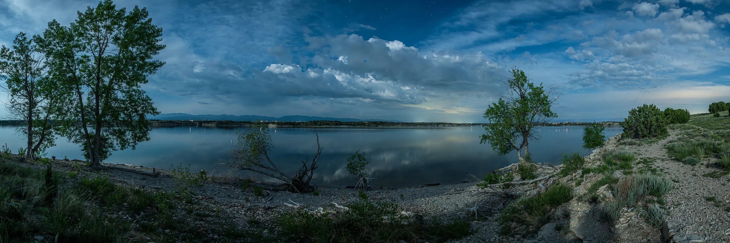 WF Cottonwoods Moonlight Pano.jpg