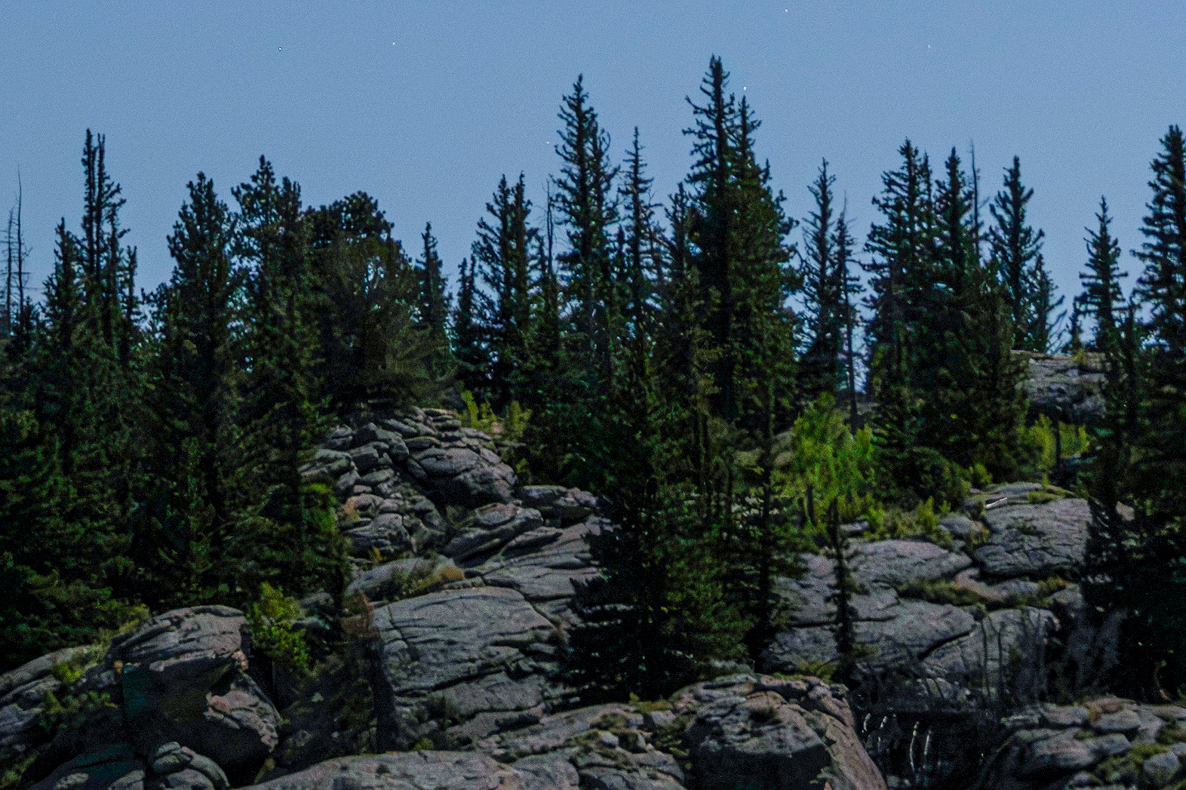 100% zoom of the next image