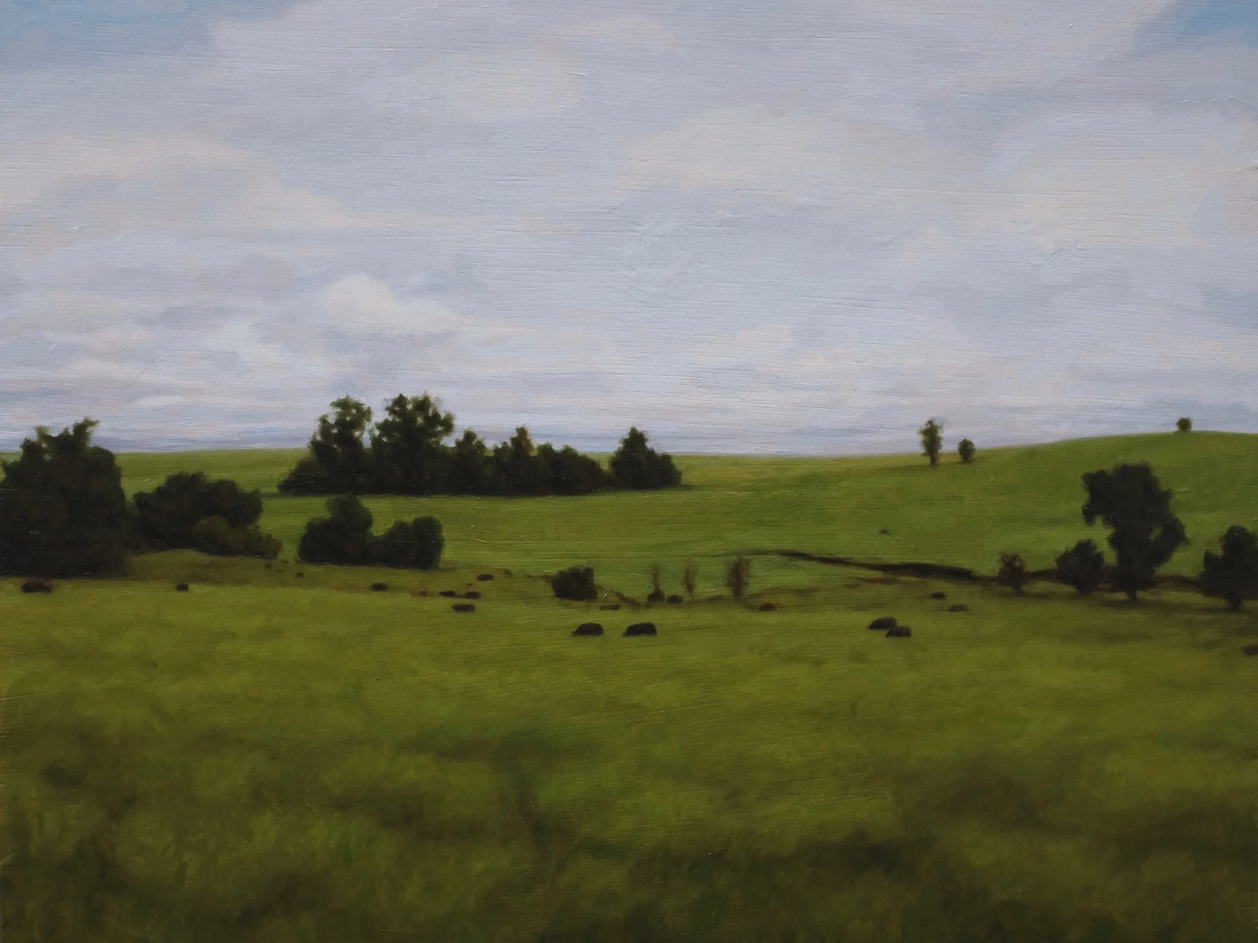 Landscape.jpg
