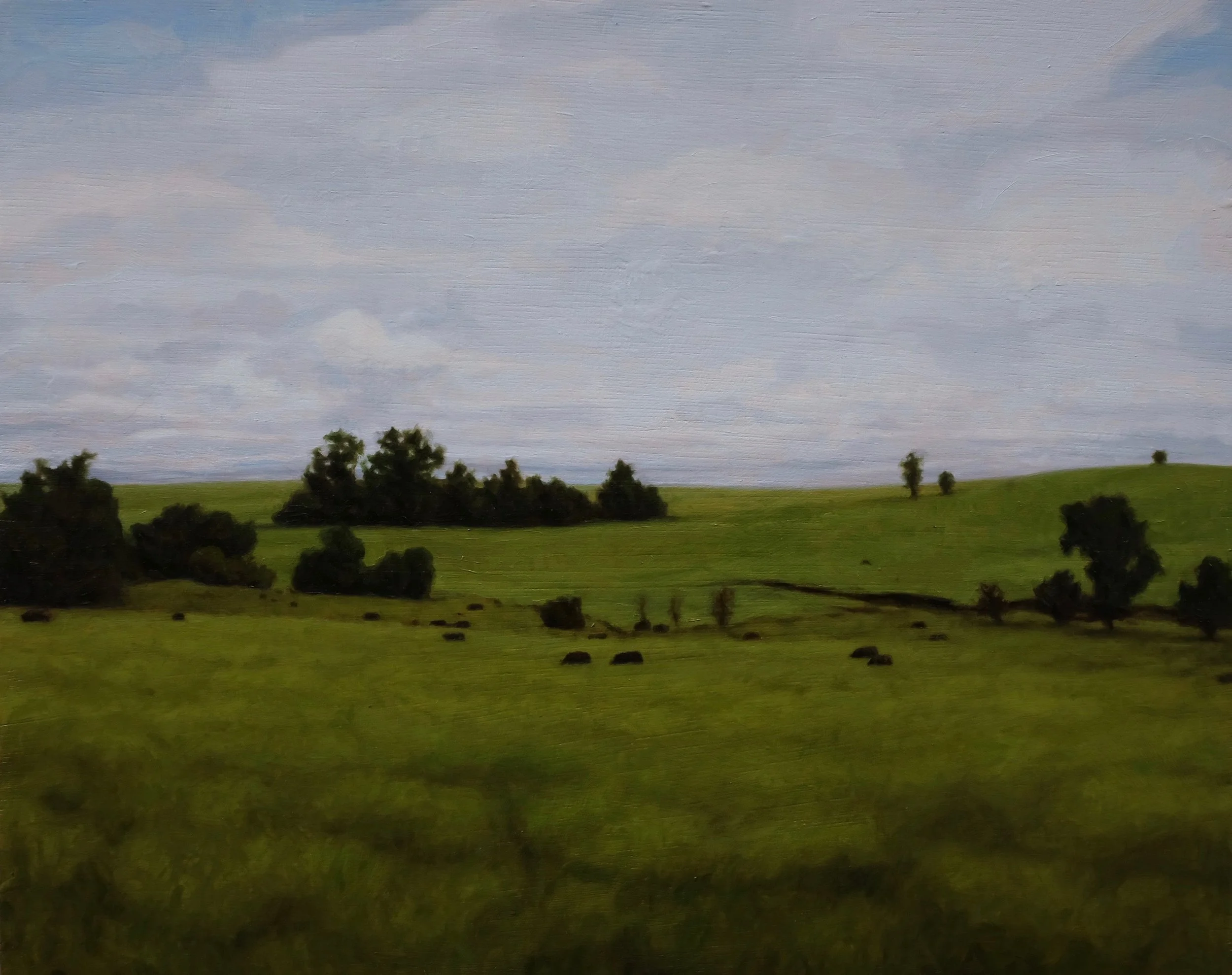 Jacob Hayes: Landscape, Oil on Wood, 16x20 in, 2019