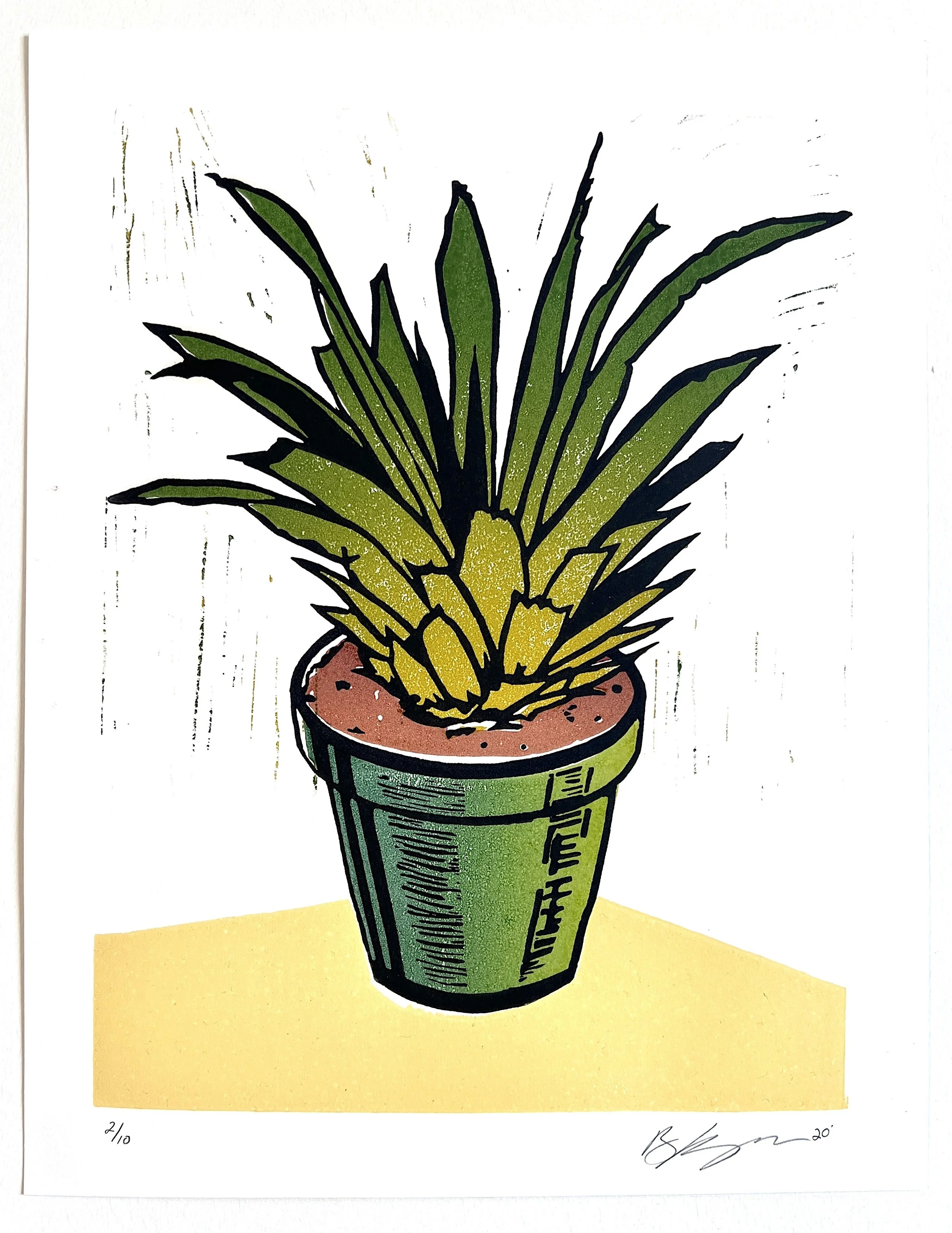 Swiss Monstera