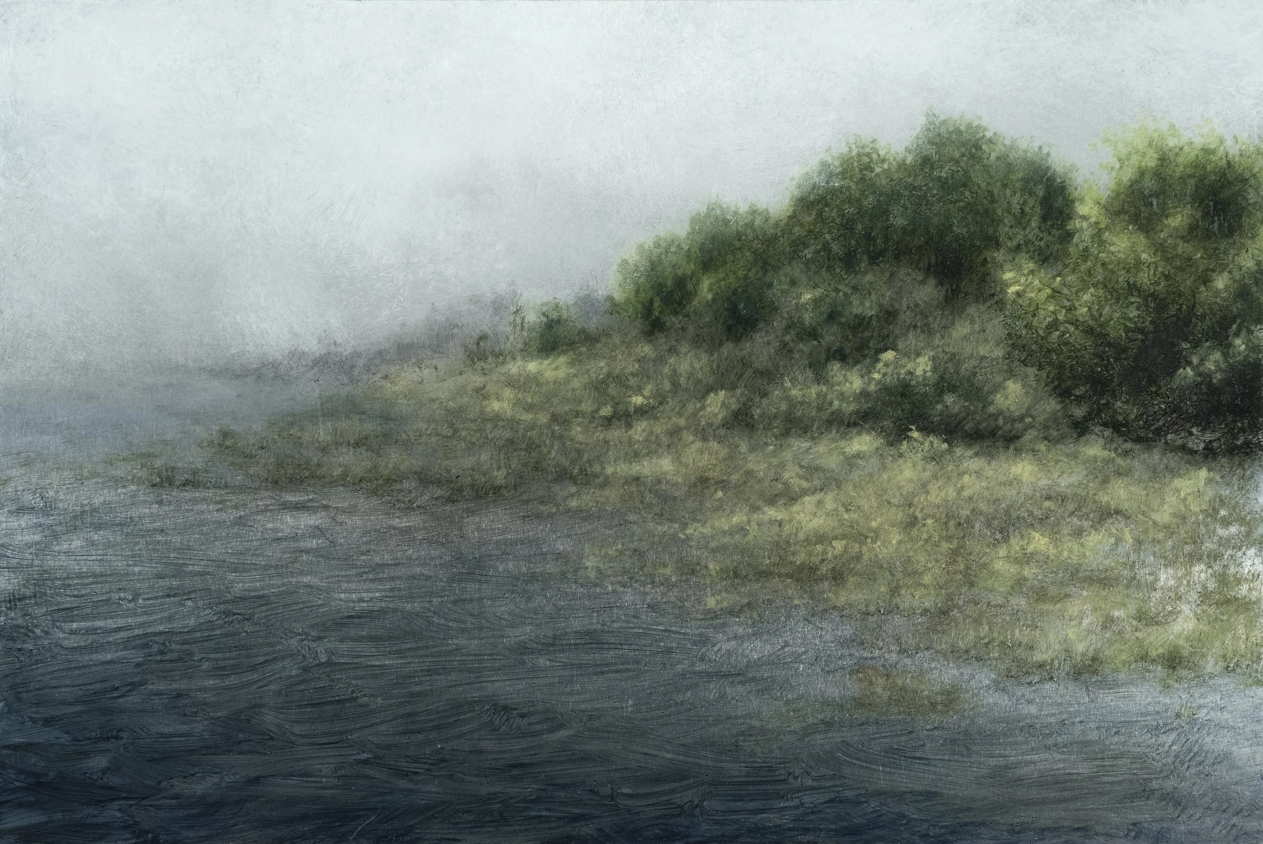 Foggy Shore