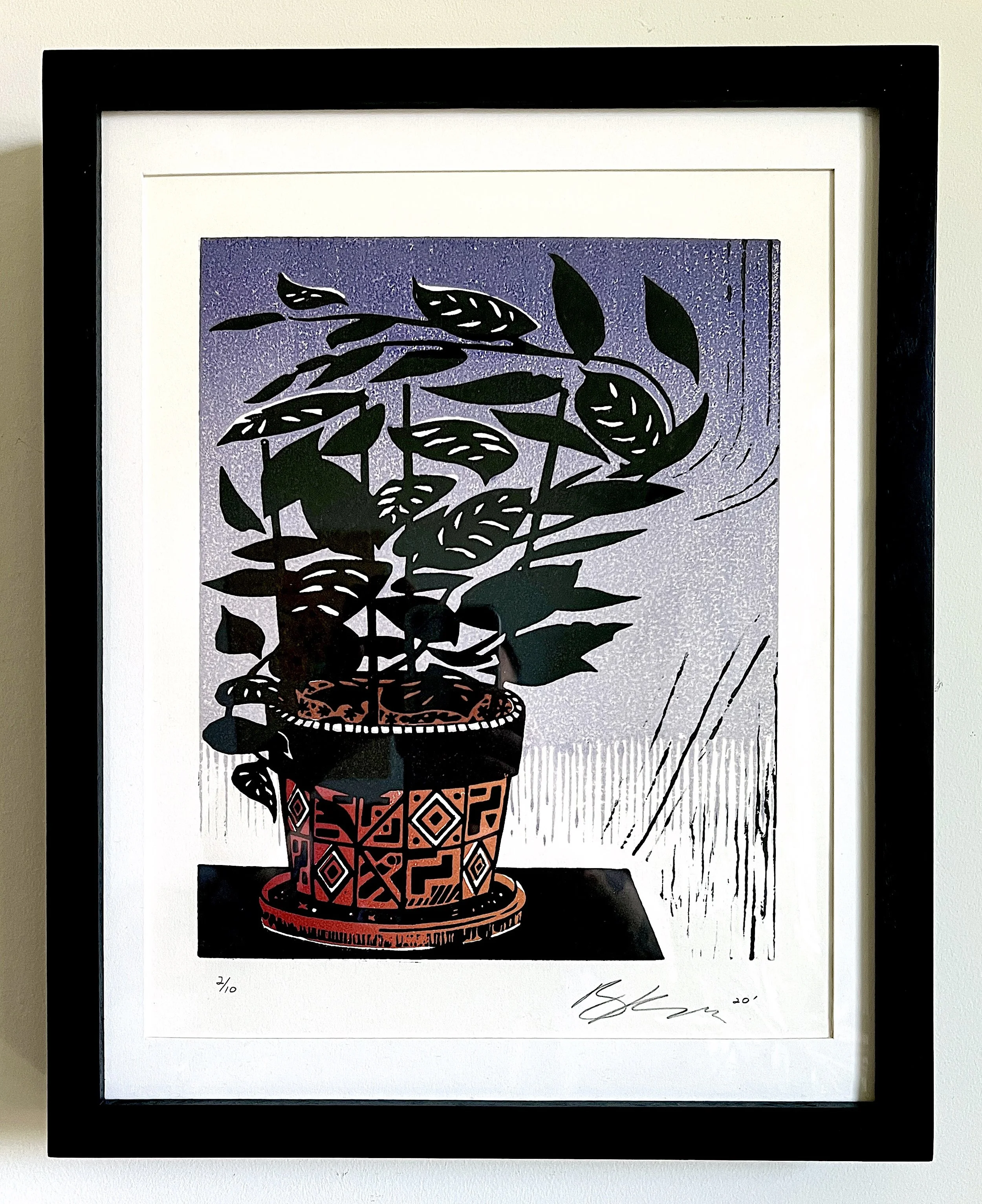 Swiss Monstera