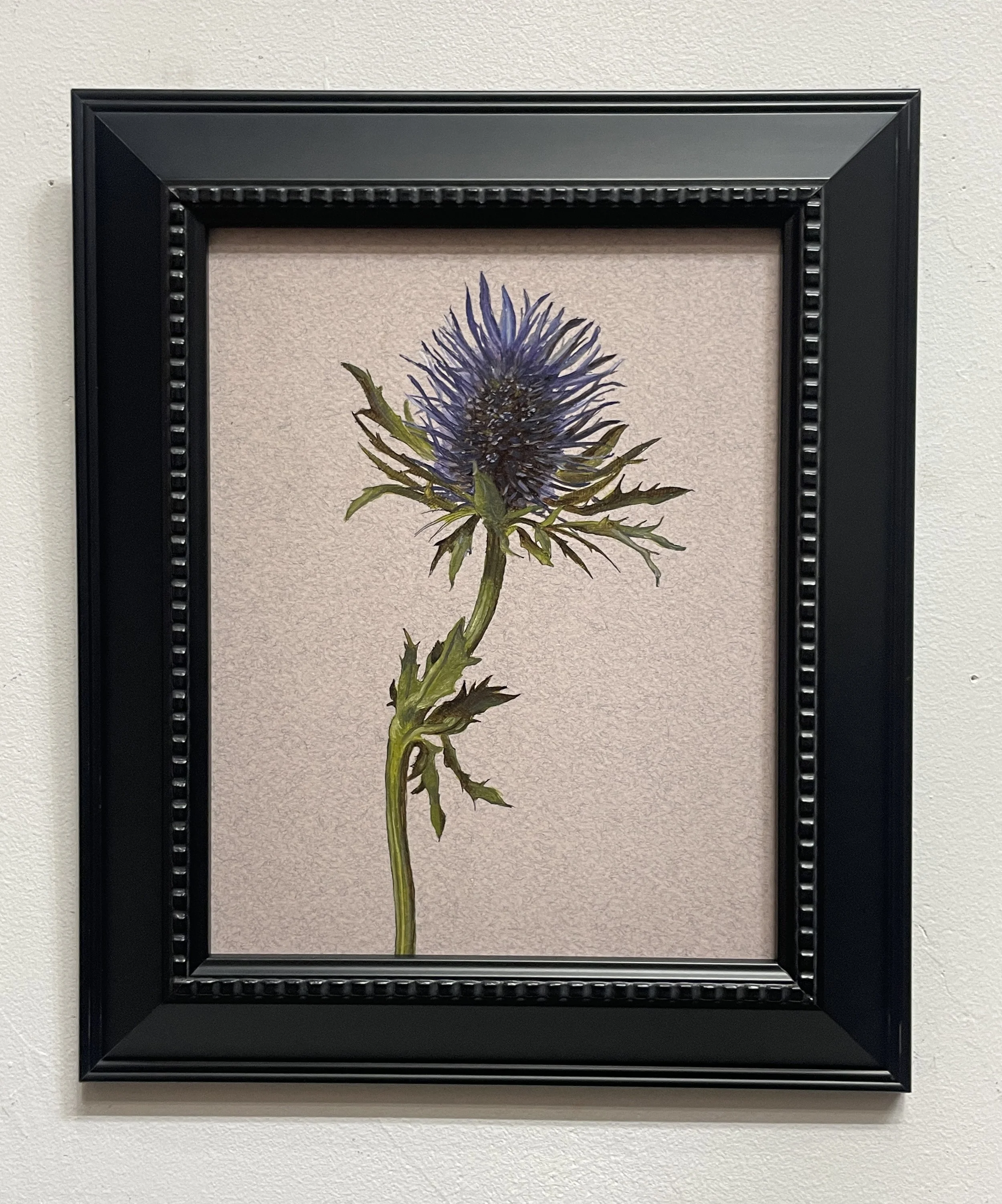 Thistle