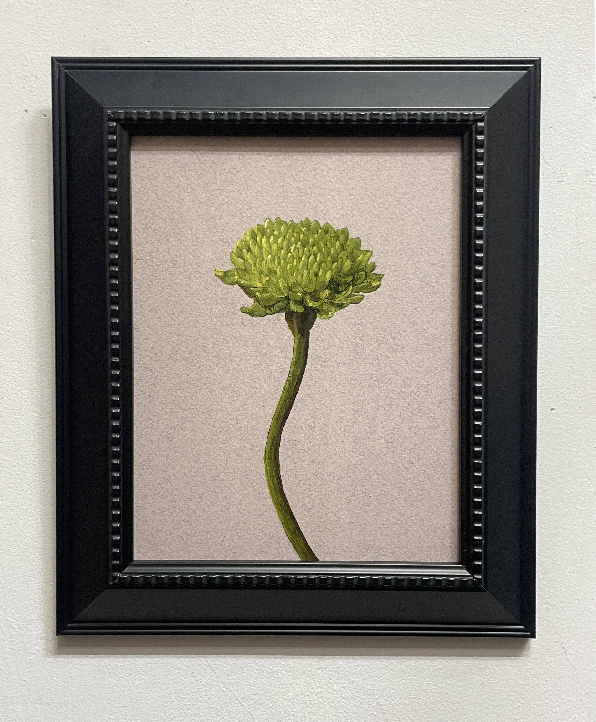 Kermit Pom
