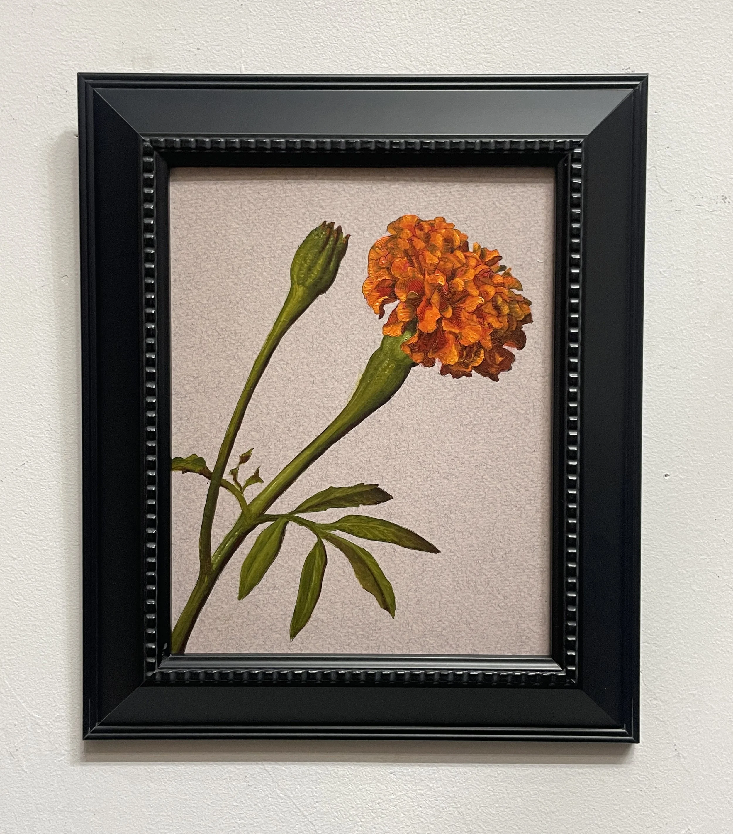 Marigold