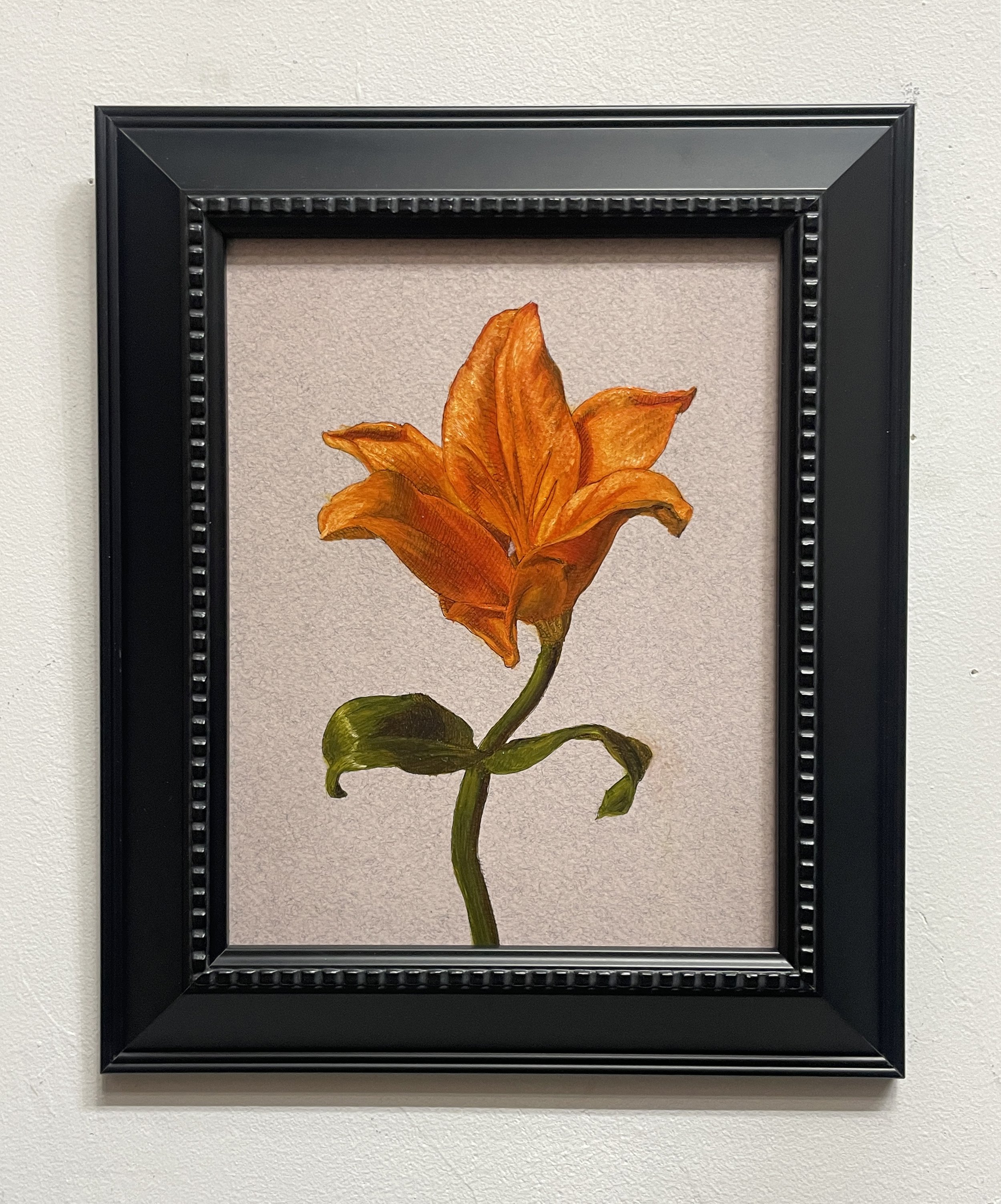 Orange Lily