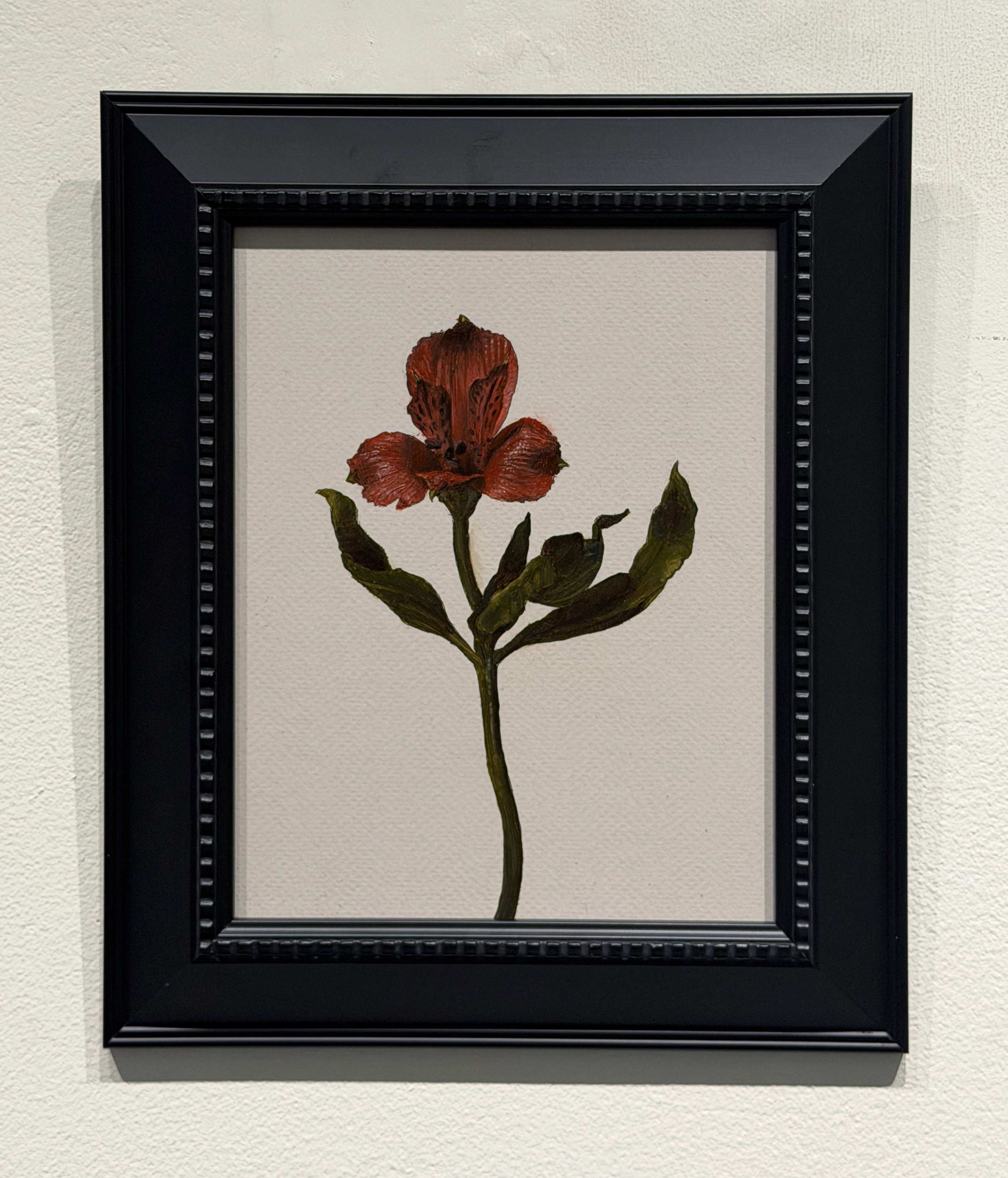 Red Alstroemeria