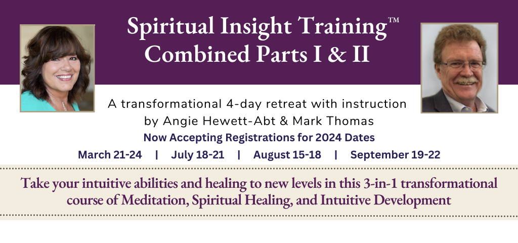 Spiritual Insight Training Workshop (Copy)