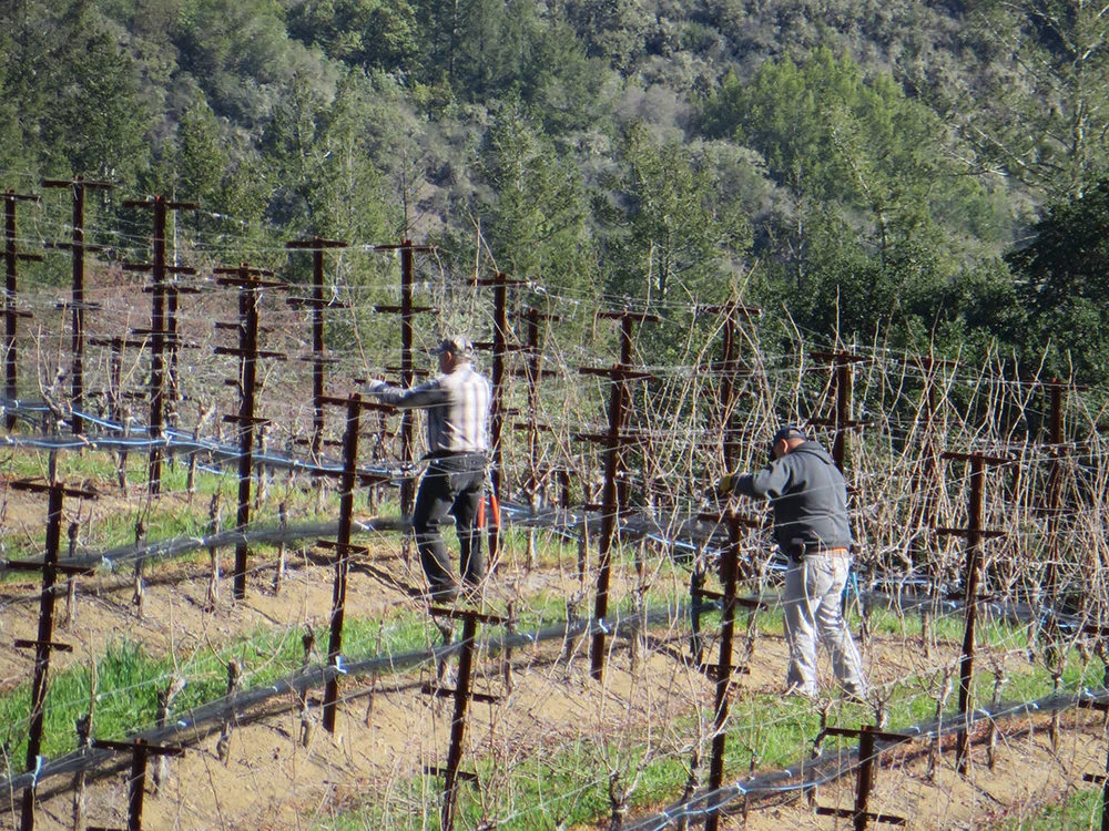 wines2.jpg