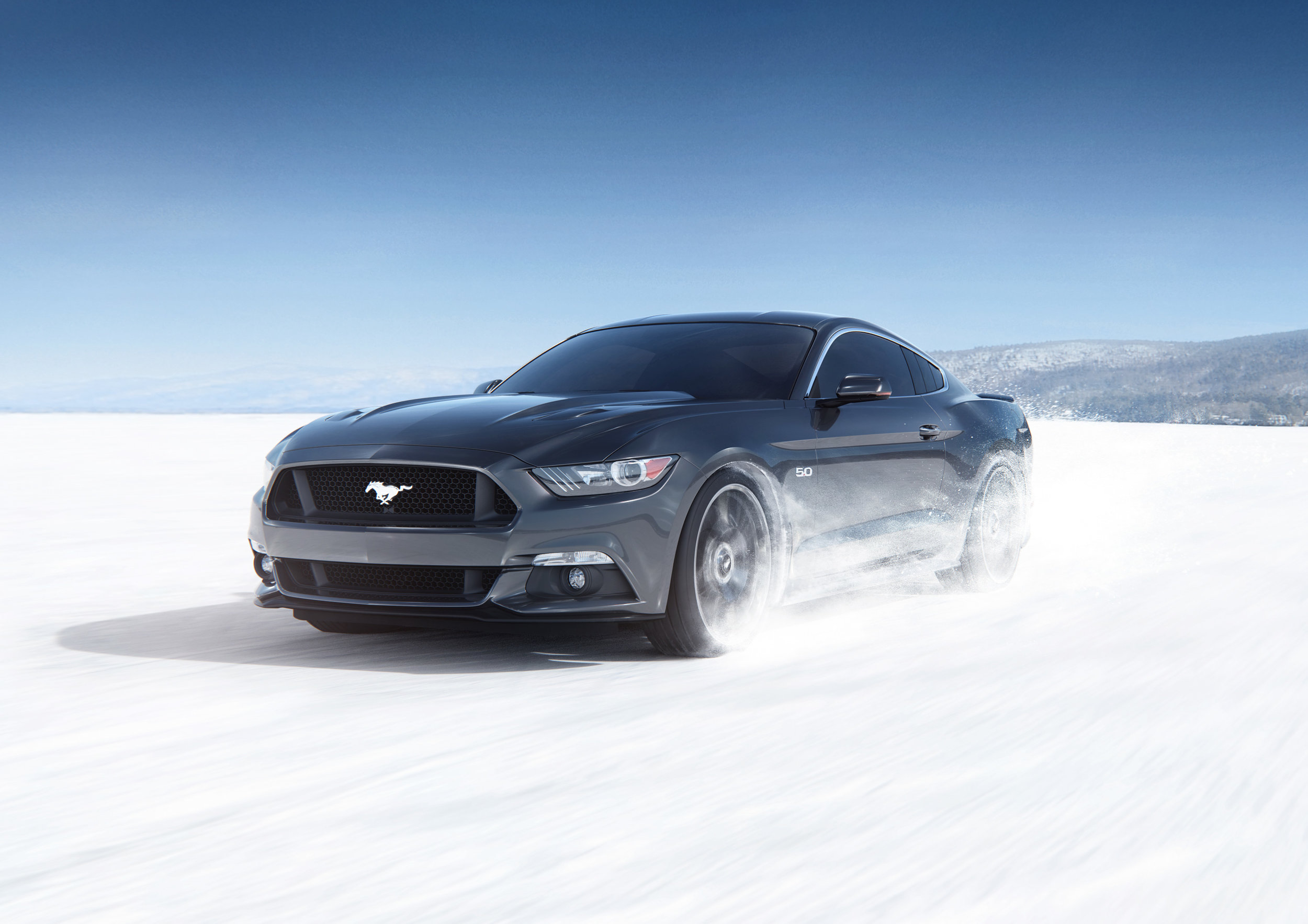 Mustang_website.jpg