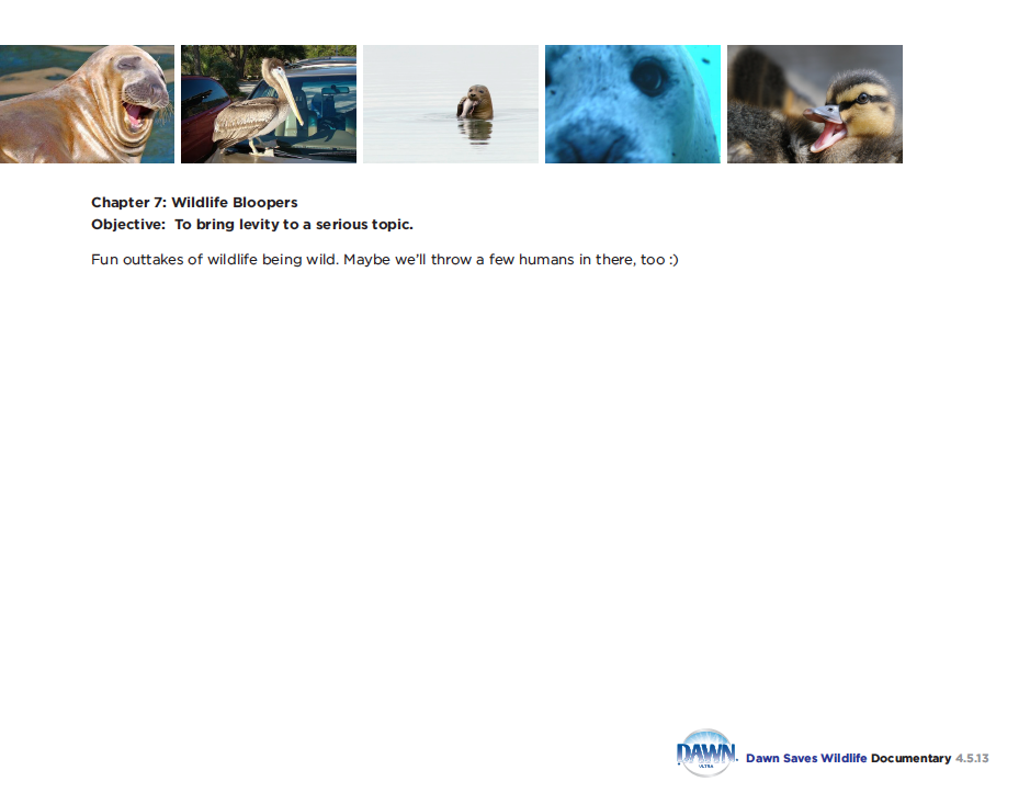 Screen Shot 2018-08-07 at 9.55.17 AM.png