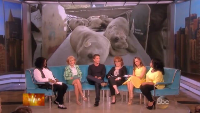 Dawn Saves Wildlife Campaign Video