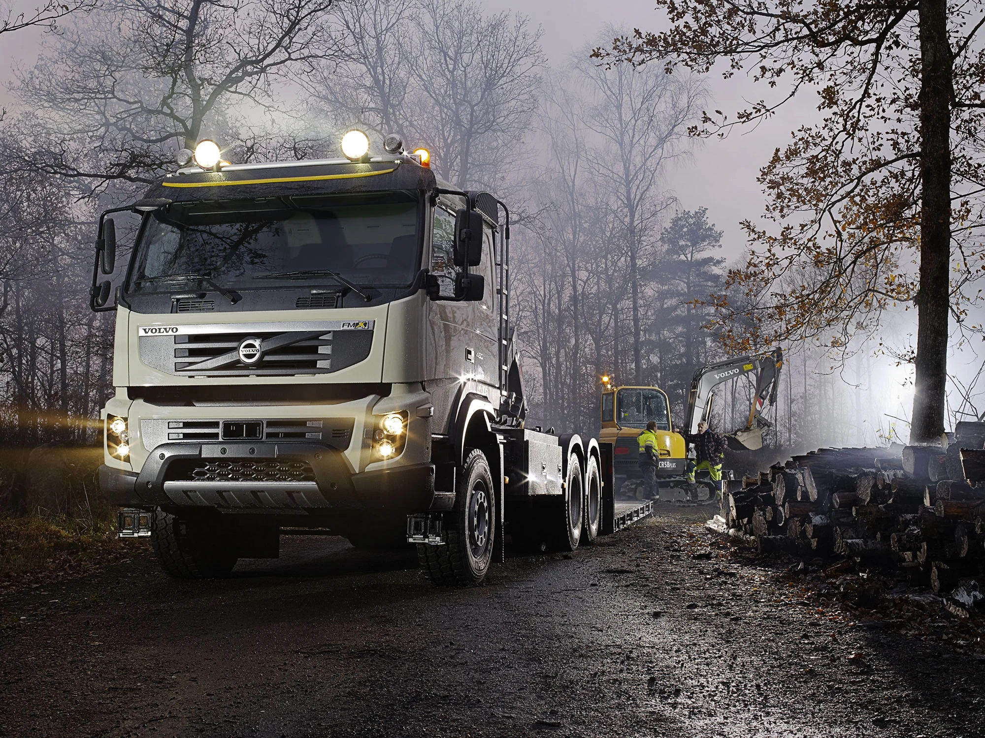 2822_6x6_forest_MASTER_VTC-2.jpg