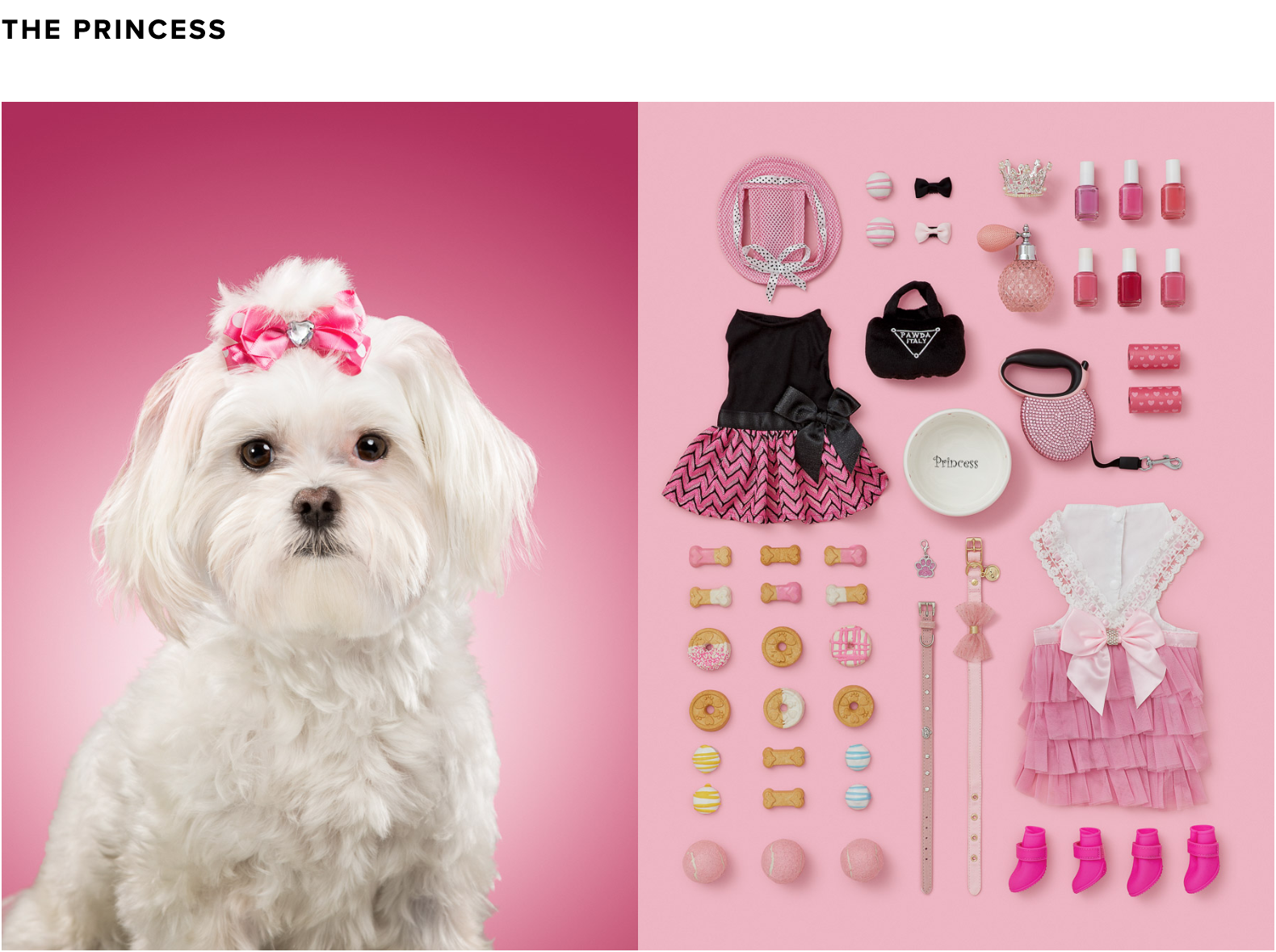 Screen Shot 2019-03-10 at 4.59.29 PM.png