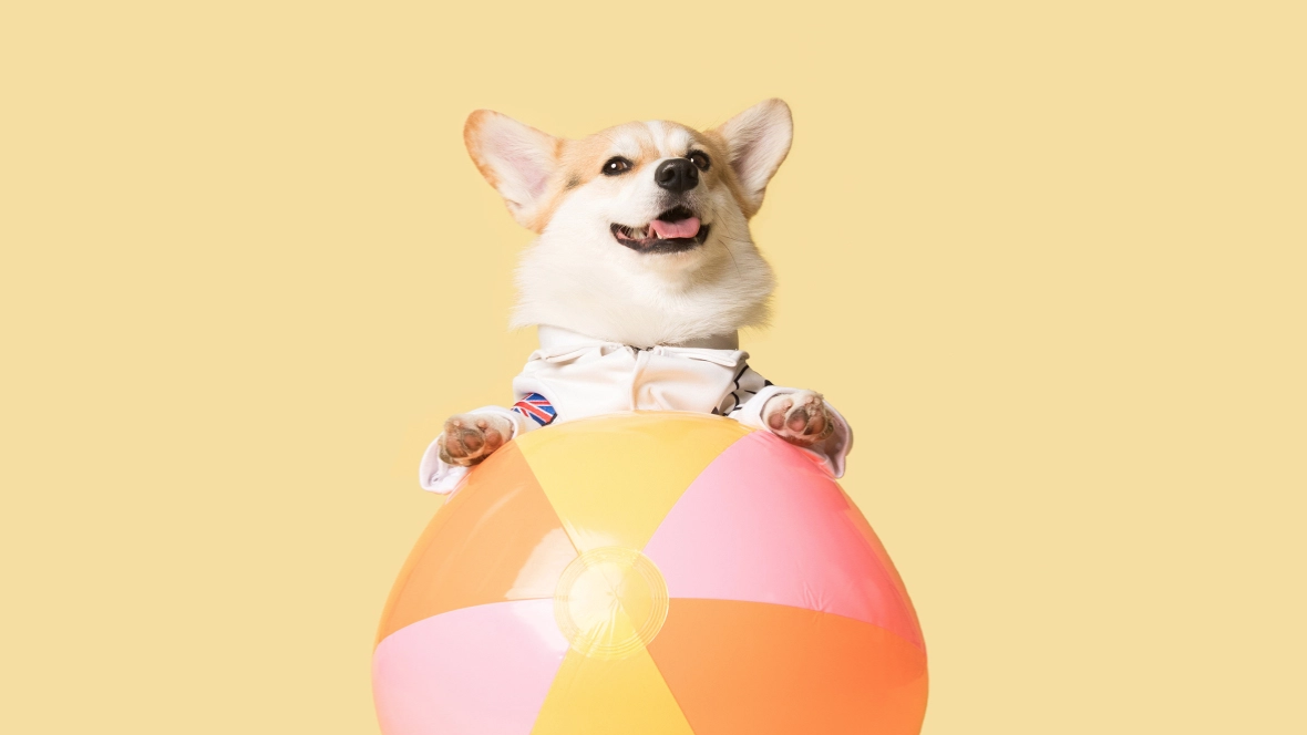 Screen Shot 2019-03-12 at 2.40.23 PM.png